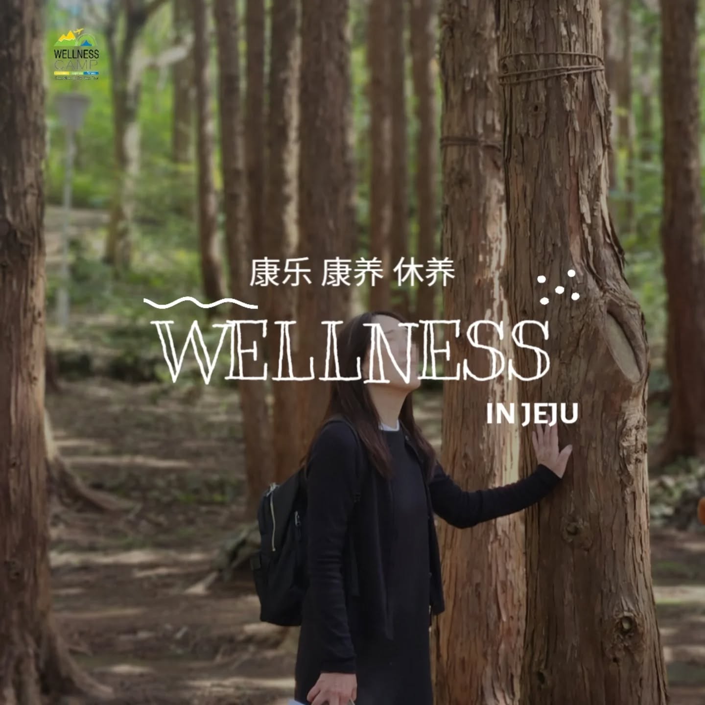 福岡ー済州直行便で行く、全く新しいチェジュ島ウェルネス旅🌿 城山日出峰などの有名スポットから、UNWTO選定の美しい村(細花村・椿村)でのローカル体験まで!済州観光公社とウェルネスキャンプが共催した、日本の旅行業界向け3泊4日ファムツアーの様子をお届けします。定番観光と本物の癒やしが融合した特別な団体・企業研修ツアーのご相談は、いつでもウェルネスキャンプへお気軽にお問い合わせください
A whole new wellness journey to Jeju via the resumed Fukuoka-Jeju direct flight!✈️ From iconic landmarks like Seongsan Ilchulbong to authentic local village tours (Sehwa & Camellia Village). Wellness Camp, in partnership with the Jeju Tourism Organization, successfully hosted a 4-day fam tour for Japanese travel experts. Looking for a unique corporate retreat or customized group tour? Contact Wellness Camp today!
제주-후쿠오카 직항 재개로 더 가까워진 완벽한 웰니스 여행!✈️ 성산일출봉 같은 유명 명소부터 UNWTO 선정 세화·동백마을의 특별한 로컬 투어까지, 제주관광공사와 웰니스캠프가 함께한 일본 여행업계 초청 3박 4일 팸투어 현장입니다. 뻔한 관광을 넘어 진짜 제주의 숨은 매력과 치유를 담은 기업 연수 및 단체 맞춤 여행을 원하신다면 지금 웰니스캠프로 문의하세요!
#wellnesstravel #jejuisland #チェジュ島旅行 #ウェルネス旅 #福岡チェジュ旅行