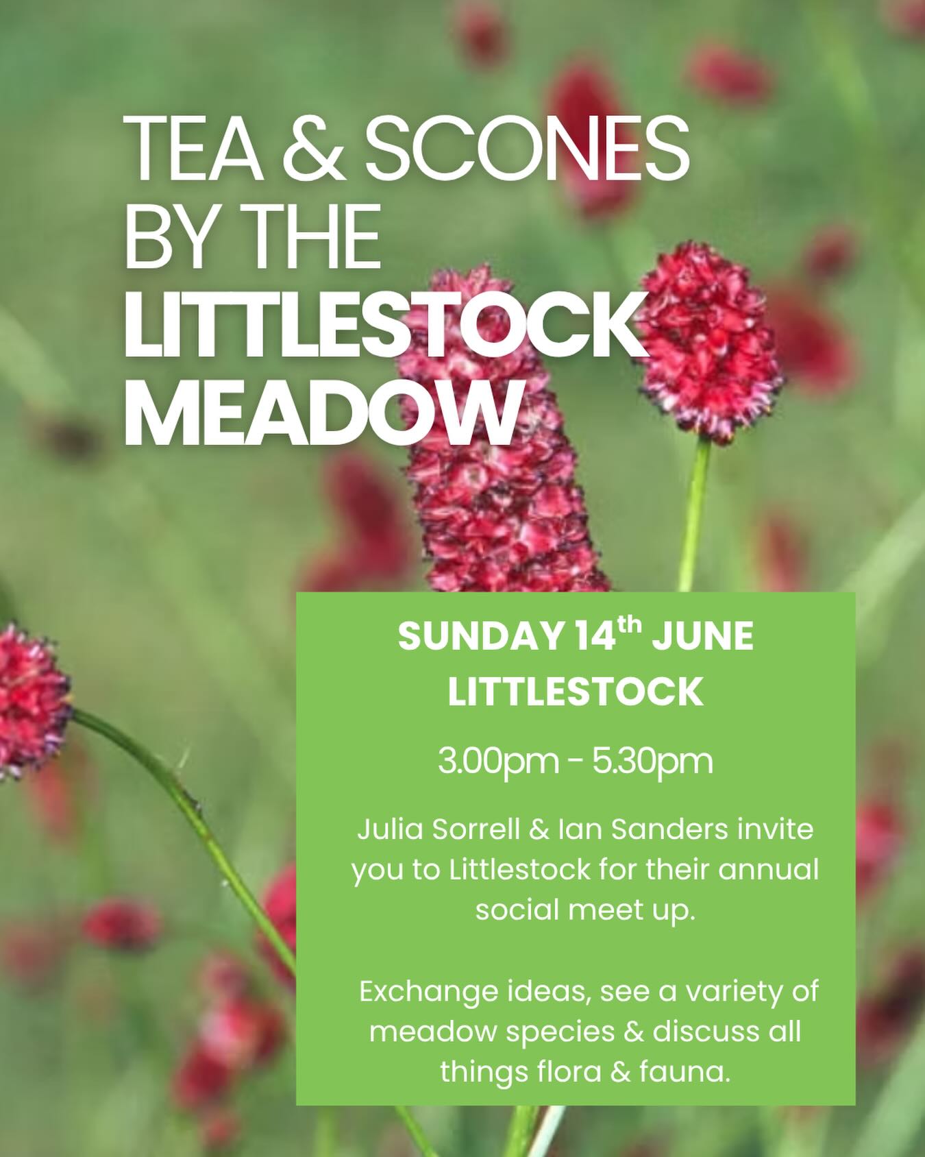 Sunshine is forecast for what has become an annual event in the calendar!
Join Julia Sorrell and Ian Sanders at Littlestock for a relaxed afternoon bringing together local environmental groups, landowners, and Cluster members. It’s a wonderful opportunity to connect, exchange ideas, and put faces to names over afternoon tea.
Since 2019, Ian and Julia have been transforming their corner of the Evenlode floodplain—regenerating a wildflower meadow, creating a wildlife-friendly garden, and restoring their home using recycled and upcycled materials.
Explore their inspiring project, learn more about local flora and fauna, and discover Ian’s fascinating Black Poplar Initiative. As a floodplain species, black poplar is increasingly rare, and Ian is building a diverse collection of clones to provide future cuttings and support conservation efforts.
🌸 Families are very welcome.
To find out more and register your attendance, click the link in our bio.
#NatureRecovery #WildlifeConservation #WildflowerMeadow #BlackPoplar #CommunityNature