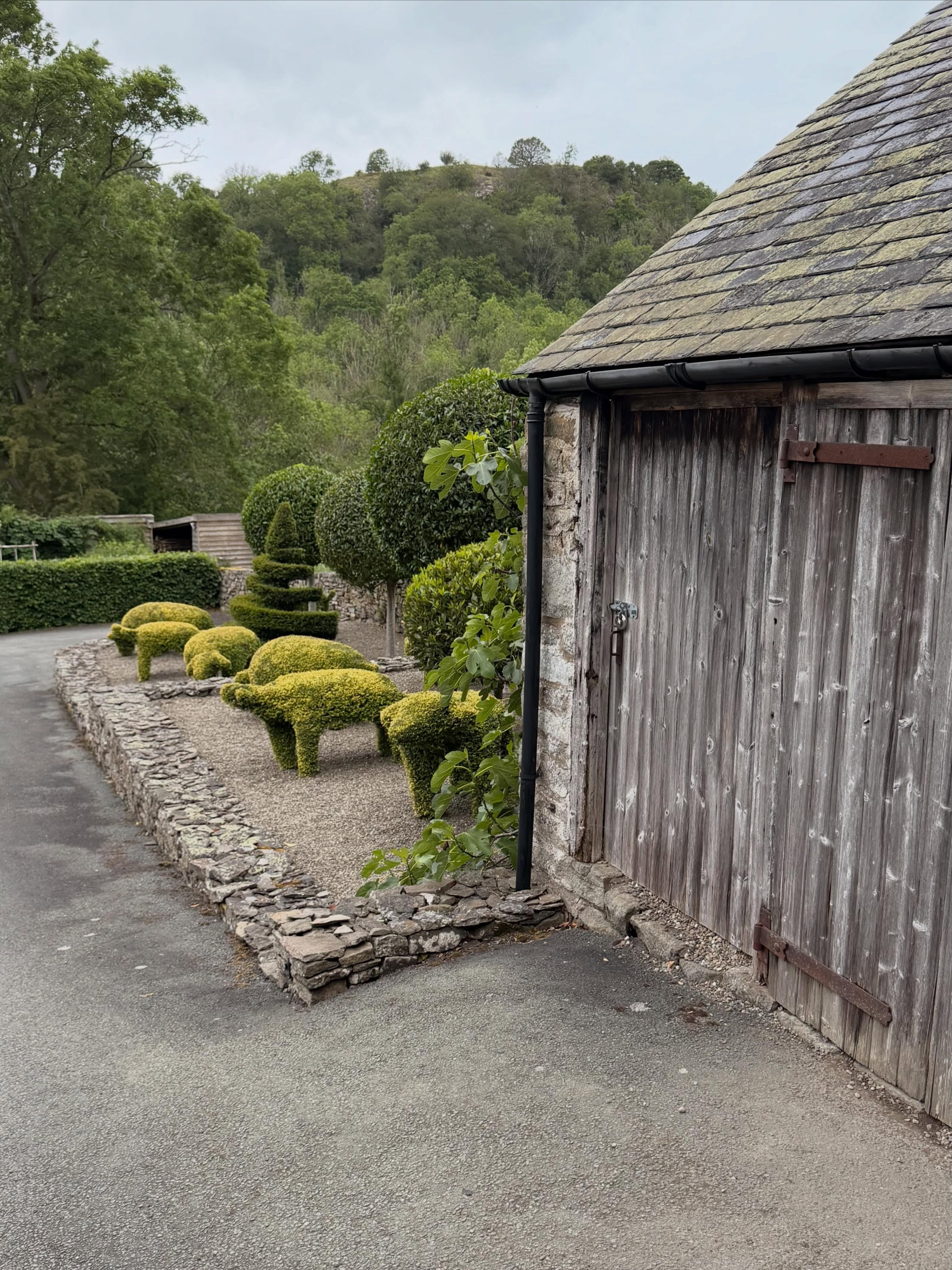 Another day, another garden. The most beautiful garden, orchard and wildflower meadows at Hurdley Hall, open yesterday as part of the #ngsopengardensheme Itās a truly magical place and theyāre open again on the 21st June. #gardeninspiration #shropshiregarden #ngsopengardens #wildflowermeadow