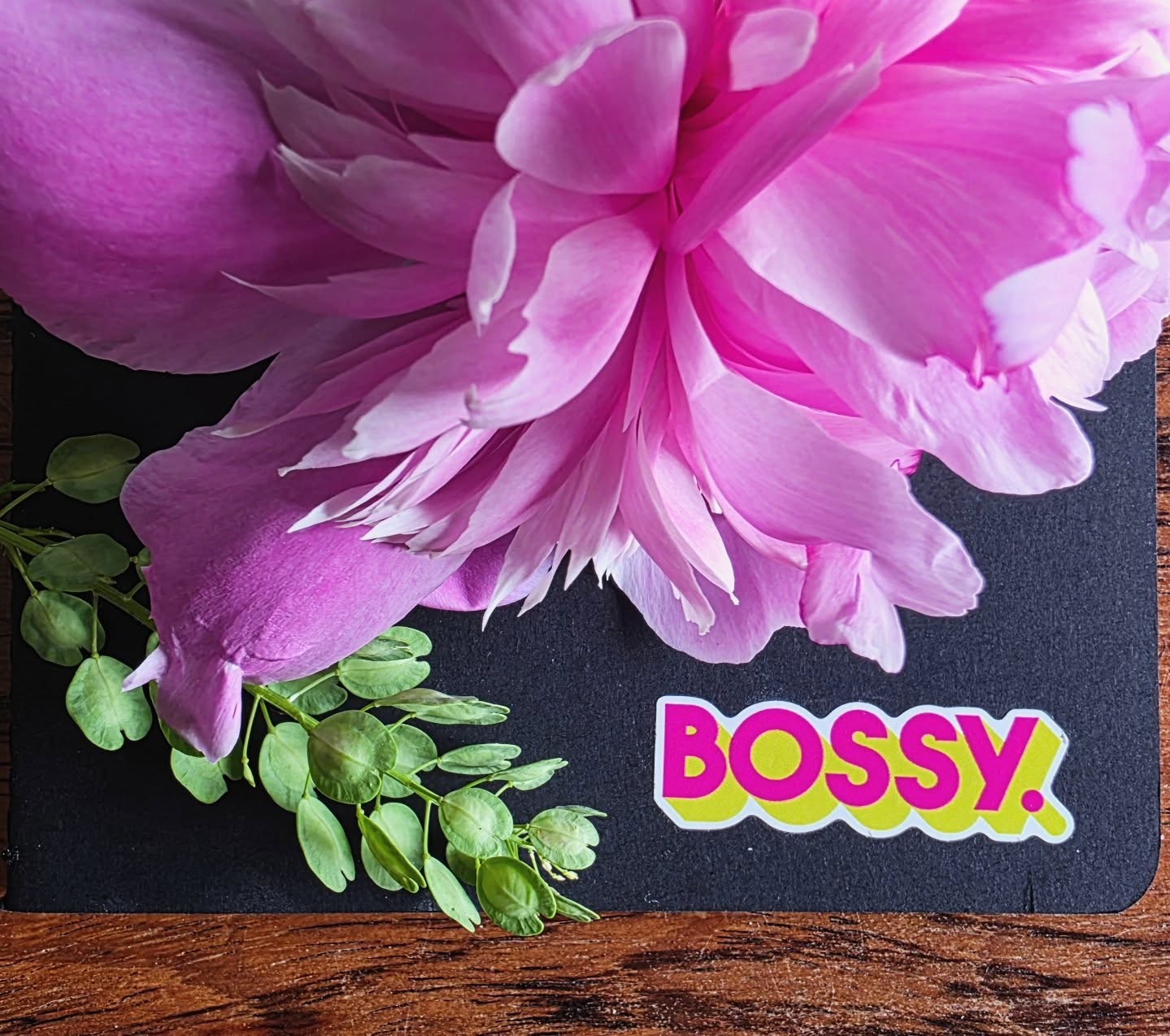 Lovely day @ecotayperth for the Bossy Conference 2026 @perthchamber ! A big shout out to all the organizers who do such a phenomenal job and make every little detail special. As a solopreneur, I savour these opportunities to connect with other female business owners in our community.
The discussion panel with @perthchocolate @perthgeneralstore and @thismommaskitchen has me thinking about the complexities of work relationships and how they support, challenge and fill us up. I tend to enjoy the independence and flexibility of working solo, but this can also be isolating; and I do sometimes yearn for that sense of community that comes with being part of a well-aligned team. @parrishwilson your simple and powerful writing workshop really brought this up for me - thank you!
@bobbimcdougall
@arumawellness your short breathwork session offered a welcome shift and a reminder that it's okay to find my own pace.
@vickielanthier your deep wisdom on resilience is always a breath of fresh air and perspective. If you don't already have a copy of her book @highagencyhuman, it's worth a read and packed with really impactful concepts.
Grateful as always for the collaboration with @jaanabrett for our workshop on digital marketing and AI. It feels good to have an honest conversation about these shifts we are all seeing and the impact it has on our work. Check out our new offering, Brain Powered Branding, on my website: www.bonniejoycecreativestudio.ca/brainpowered