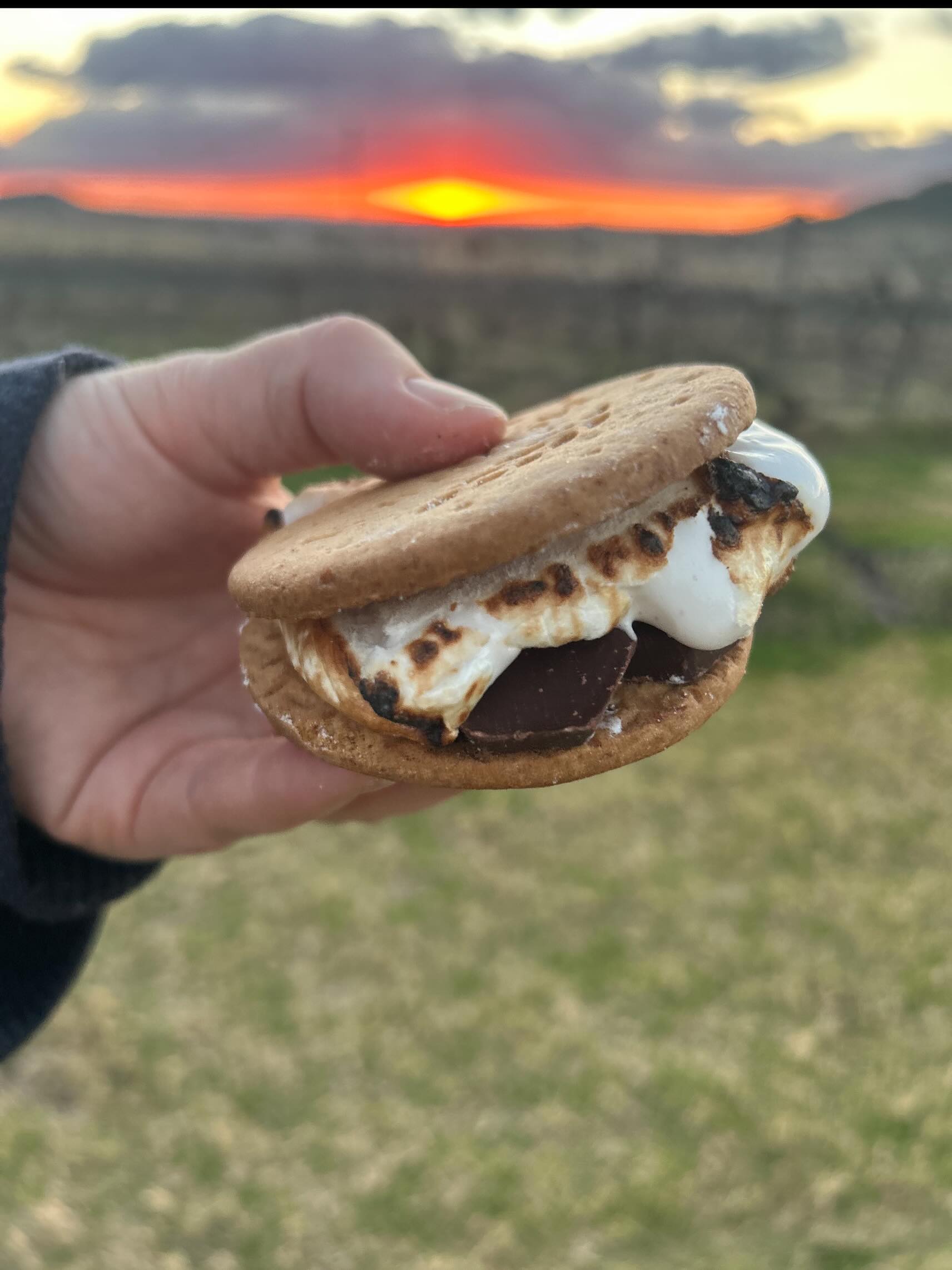 Winter fires, sunsets and s’mores are back. 🔥🍷
There’s nothing quite like watching the sun go down over the vineyard with a toasted s’more in hand and a glass of wine by the fire.
Gather your friends, settle in by the fire, and make the most of winter at Rosalie House.
Sunset Sessions | Friday Saturday Sunday | 3pm–6pm
Bookings recommended.