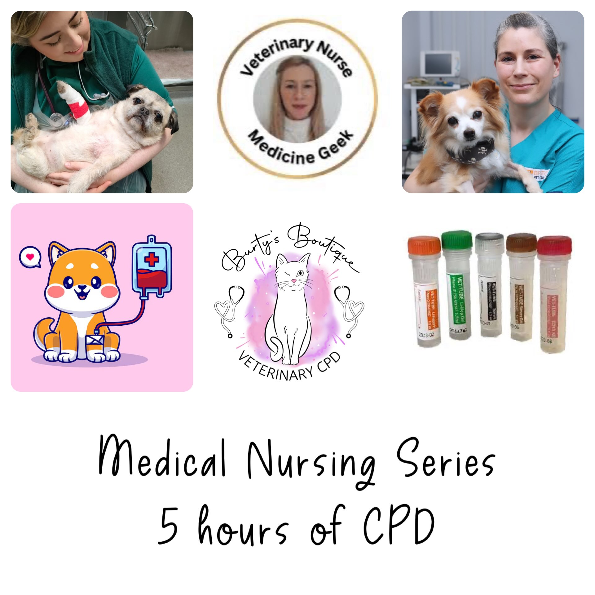 Super excited for our first Medical Series- available NOW. Grab your place on our website and on 17th June we will email you the links to watch these zoom sessions at your own pace- and stay open to you for 3 months.
We have 3 amazing speakers covering the sessions and subjects are:
Sweet insights into feline diabetes
Avoiding transfusion confusion- essential knowledge for blood transfusions
Oncology Nursing for the Veterinary Nurse
Interpreting the blood panel. Will you be joining us 👀🐾☺️⭐️