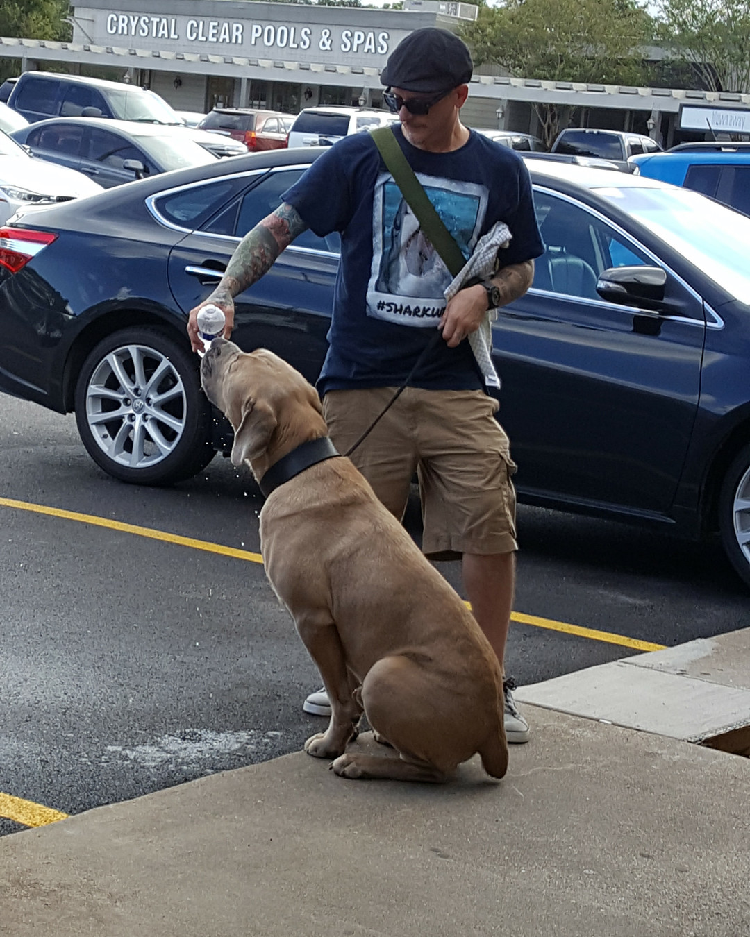 Ever wonder what real progress looks like?
Paddy and Hazel walked together in all sorts of situations before we took him to New Orleans. Trips to the hardware store and the park, coffee runs, and trips to the beach. Everywhere Hazel could go, he went.
The same training we used to get a Mastiff ready for crowds and long car rides will work for you, as soon as you start!✨🐾
If you’re ready for a change, let’s chat. Call Citizen Canines at 832-341-4578 or visit http://www.citizencanines.net. 🐾
