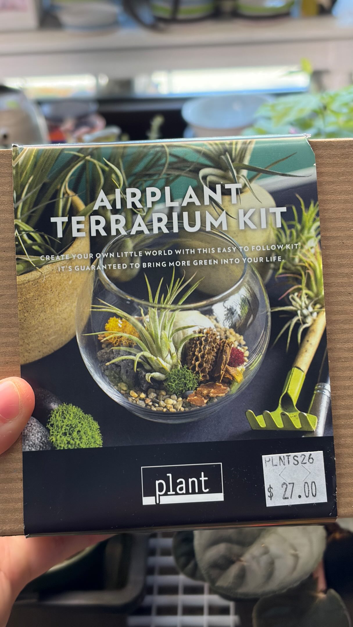 Make a terrarium with me!✨🌱
Come by today to make your very own terrarium !🍃
#edmonton #terrarium #plants #planting #yeg