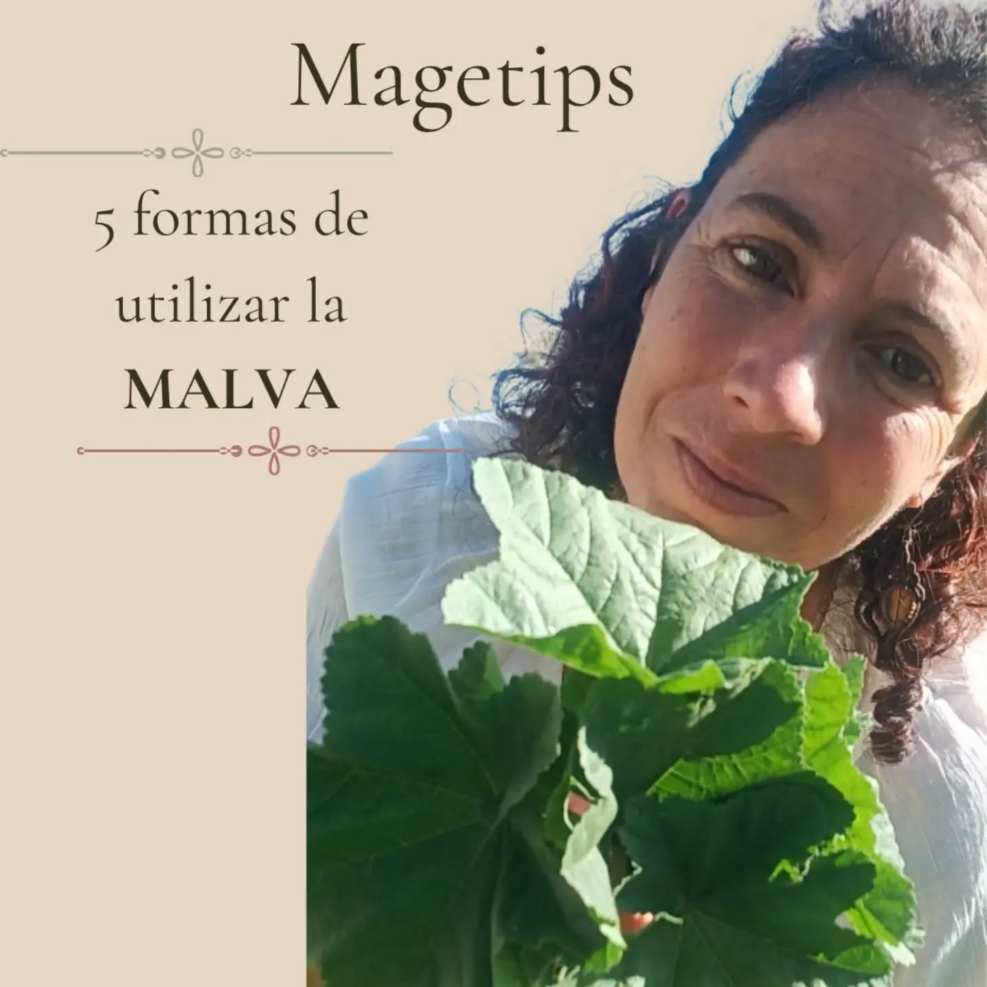Muchas veces observamos una planta y solo vemos una flor.
Pero cuando comenzamos a conocerla descubrimos que detrás de ella existe todo un mundo de usos, tradiciones y saberes que han acompañado a las personas durante generaciones.
La malva es una de esas plantas.
Desde infusiones y baños de asiento hasta cataplasmas, lavados herbales o preparaciones energéticas, son muchos los caminos desde los cuales puede formar parte de nuestro botiquín herbal.
Y quizás ahí también exista una enseñanza.
Porque cuando aprendemos a observar las plantas con más atención, dejamos de ver solamente lo que son y comenzamos a descubrir todo lo que pueden aportar.
¿Conocías alguno de estos usos de la malva?
Abrazos
Marce y Mage 🪷🤍🌿
#mujernatura21
#magetips
#limpiezasenergeticas
#rituales
#malva