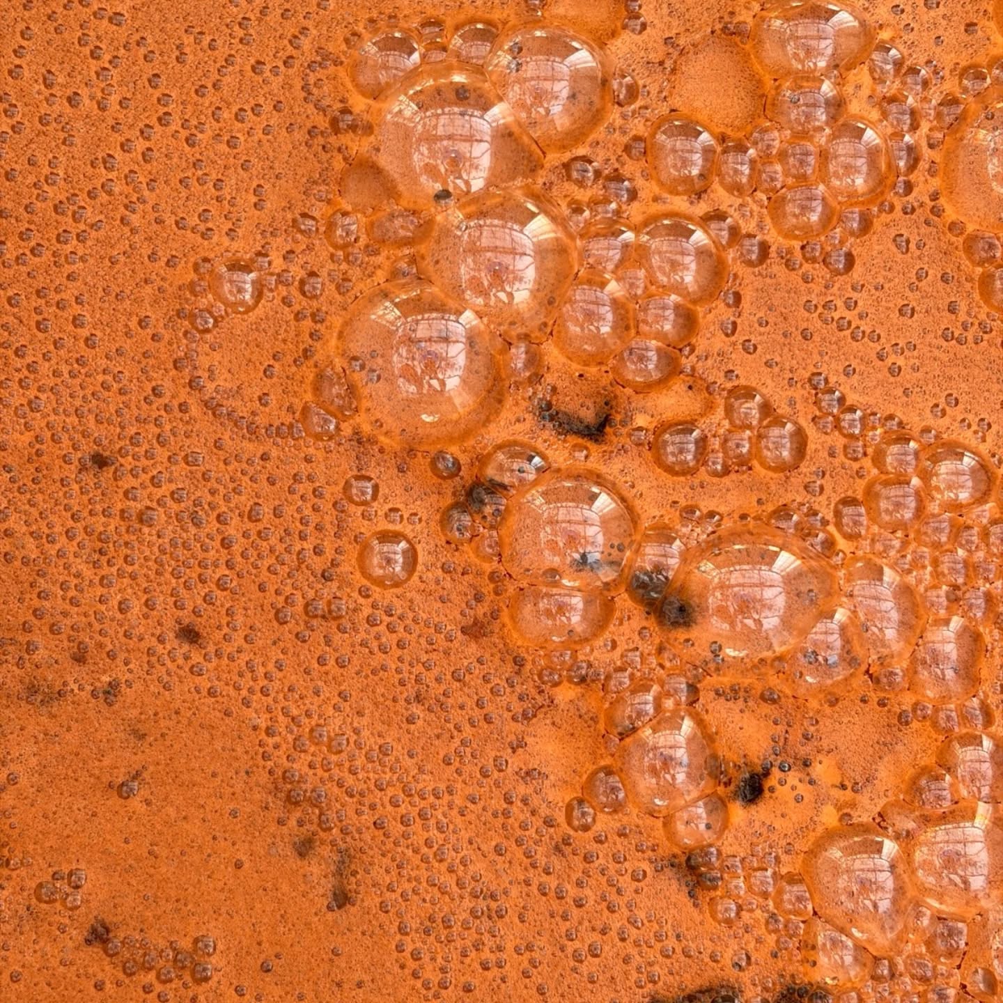 Ça y est, c'est parti. 🔥
Premier brassage, premières bulles, premières émotions.
La saison des brassages et distillation de rum redémarre. L'aventure continue et nous avons hâte de vous faire découvrir la suite ! 🥃
#Rhum #Distillation #CraftRum #Fermentation #nofilter
L'abus d'alcool est dangereux pour la santé, à consommer avec modération.