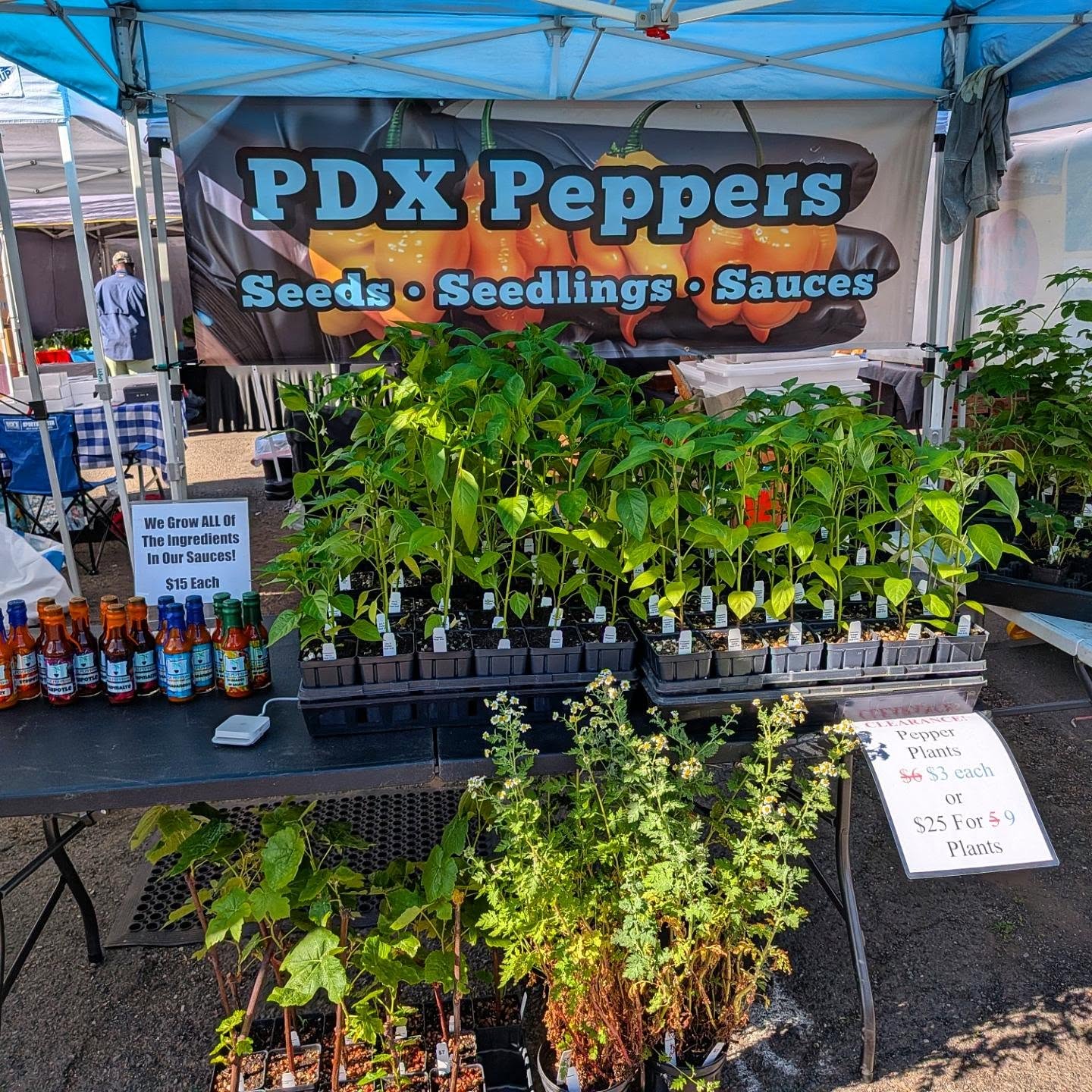 All the pepper plants must go! Come get your pepper seedlings for 50% off today at the @stjohnsfarmersmarket !!! We will not be here next week so get them while you can!
•
•
•
#PDXPeppers #ThePepperNursery #StJohnsFarmersMarket