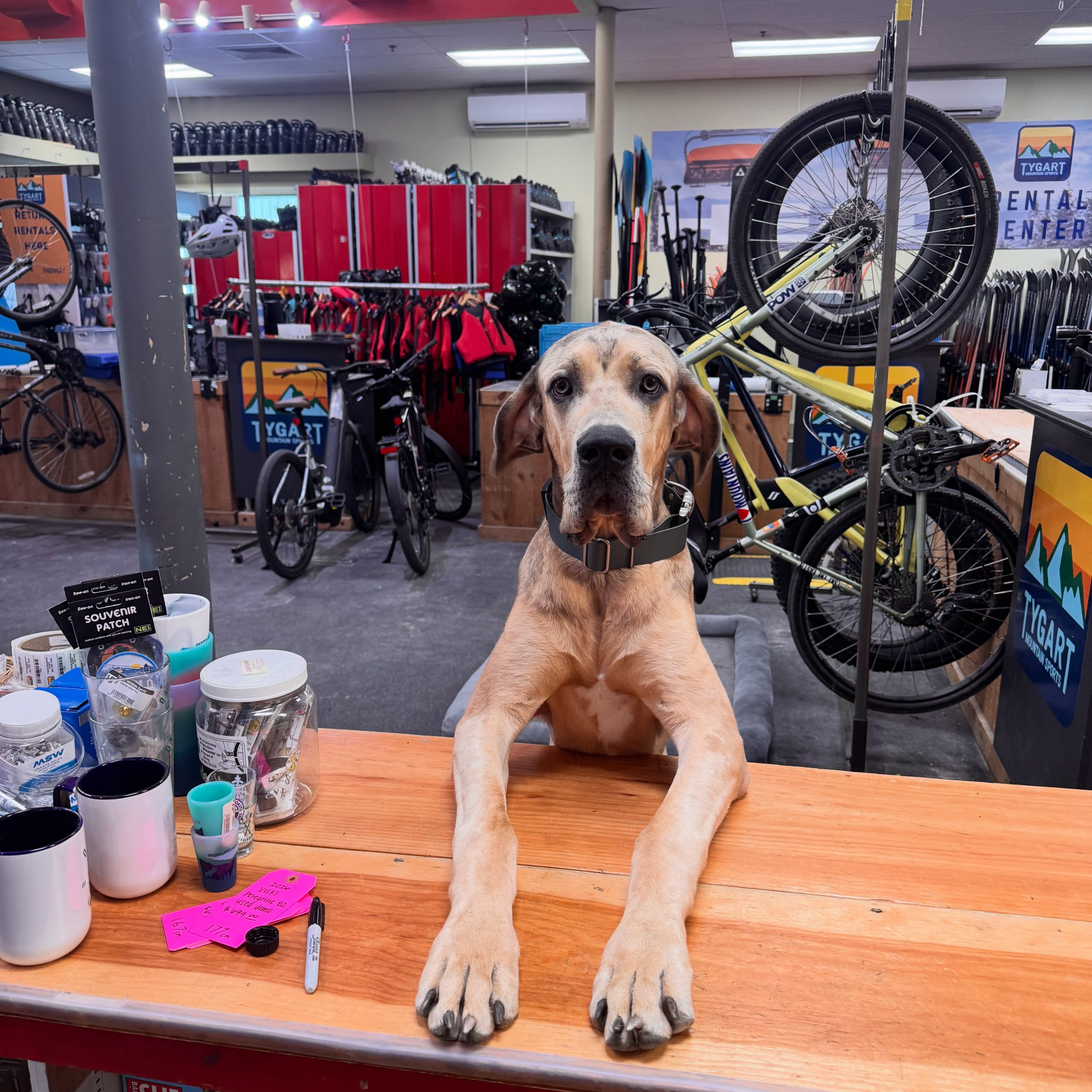 “Yes I would like 1 bicycles please”
-Sebastian … probably