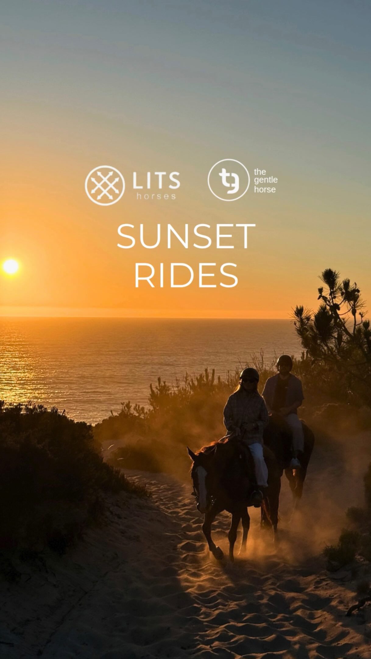 SUNSET RIDES / There’s something truly magical about our Sunset Rides in Meco (only a 40 min-drive from Lisbon). ✨
As we follow the coastline, the sea slowly transforms into a canvas of golden light and the sun casts its warm glow through the pine forest. The gentle sound of the waves, the fresh sea breeze, and the breathtaking views create an unforgettable experience for both horse and rider.
Whether you’re riding along scenic coastal trails or enjoying panoramic sea views from above, our Sunset Rides offer a unique way to experience the beauty of the evening hours.
You can Book your Sunset Ride on our website: https://www.litshorses.com/bookonline 🌅
Please note that access to the beach during our Sunset Rides depends on your riding level and the group’s experience. While we can’t guarantee a beach ride for every guest, you will always enjoy stunning sea views and the special atmosphere that makes these rides so unforgettable. 🤩
