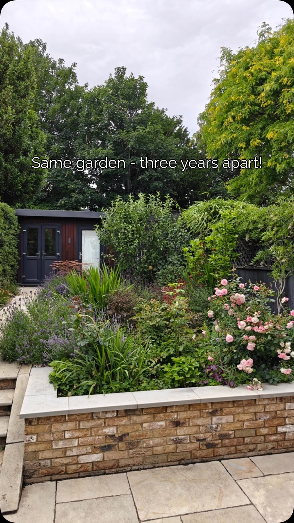 Another garden design revisited! I’m supper happy how this garden has grown in the last 3 years! #gardendesign #plantingdesign #urbangarden #nature #wildlifefriendly