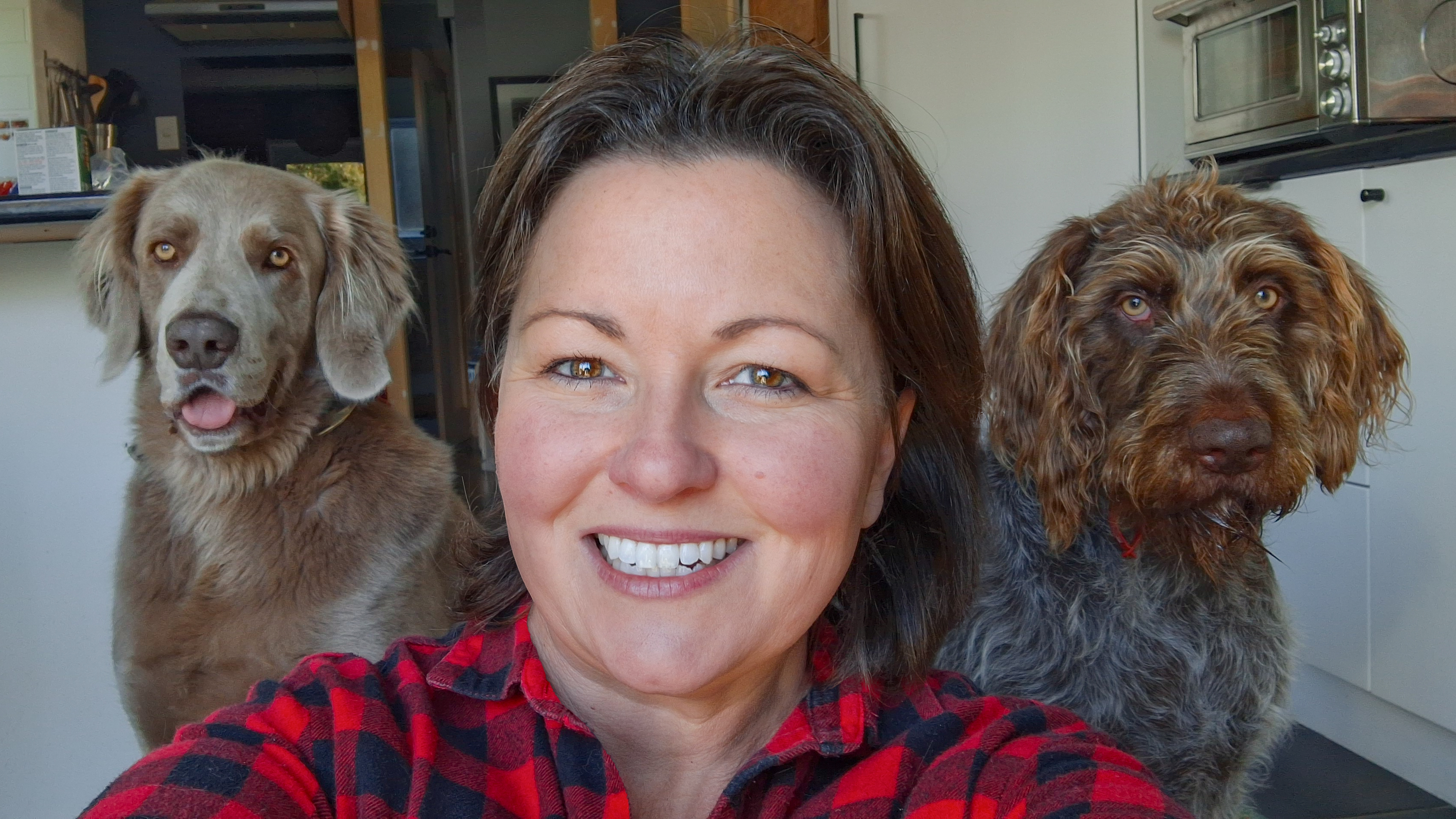 Feeling chuffed with my beautiful little pack family. A rare selfie where all three of us are looking in the same direction and pulling half reasonable faces. It never happens so it really made my day.
#packfamily #longhairedweimaraner #gwp #dogsofinstagram #familypawtraits
