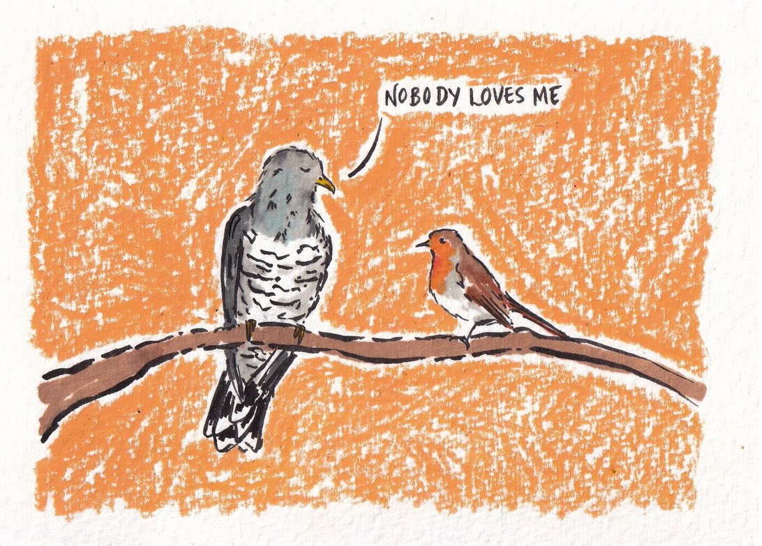cuckoo
Was having an artist’s block and a terrible day, then dreamt up this lil triptych comic strip featuring a cuckoo and a Robin.
The Robin was voted the UK’s favourite bird in 2015 (although I imagine if we redid the poll now, it might be the pigeon…) - the cuckoo is vilified due to its behaviour as a nest parasite.
Honestly, I just made this piece for me - but then I thought, maybe other people will resonate with it too?
.
.
.
#birds #comic #cuckoo #art #sad @rspb @rspbengland @btobirds