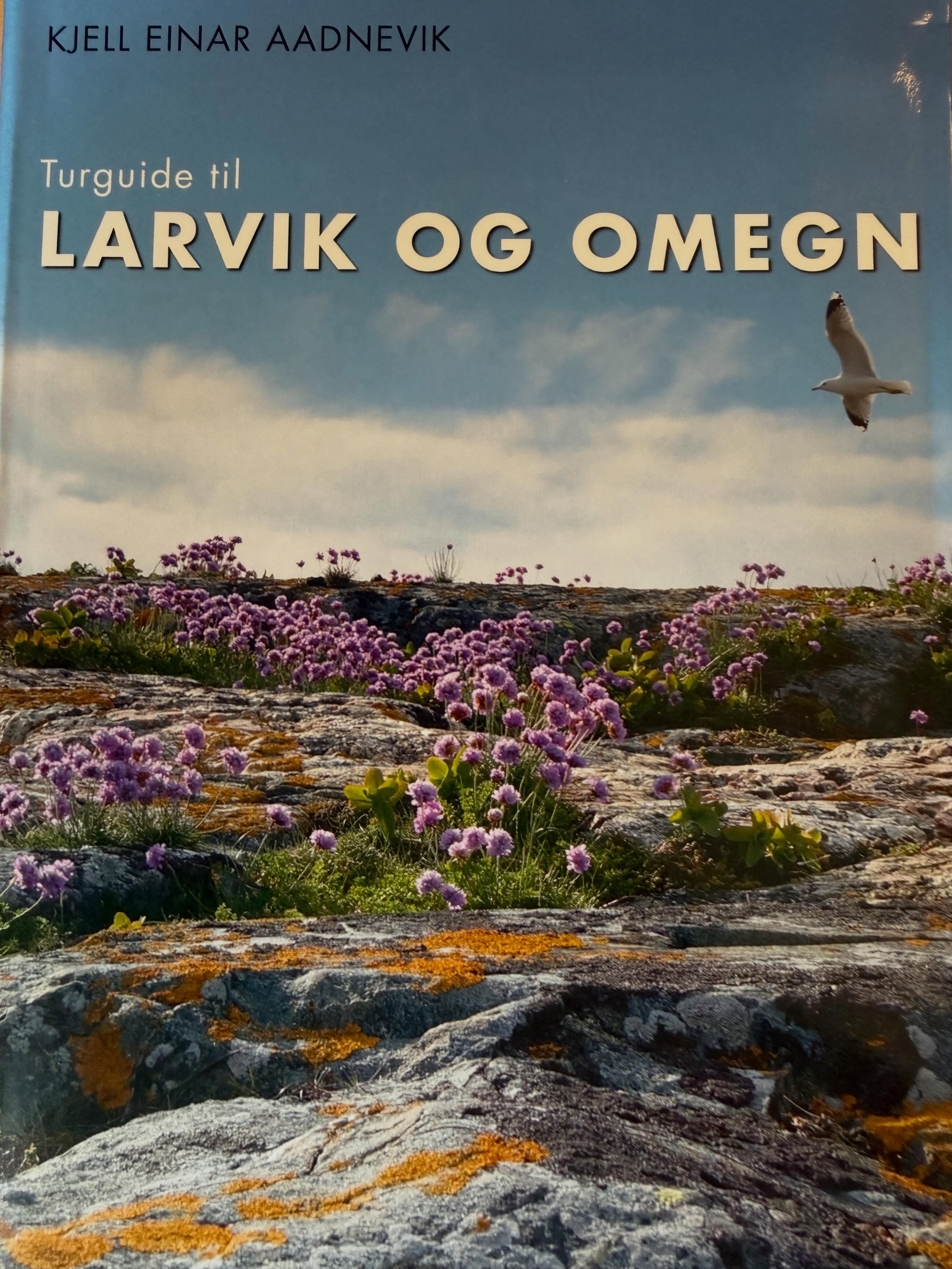 På tur i Larviksområdet? Kan anbefale denne flott turboken. 🤩
#larvik #brunlanes #ut #utno #visitvestfold