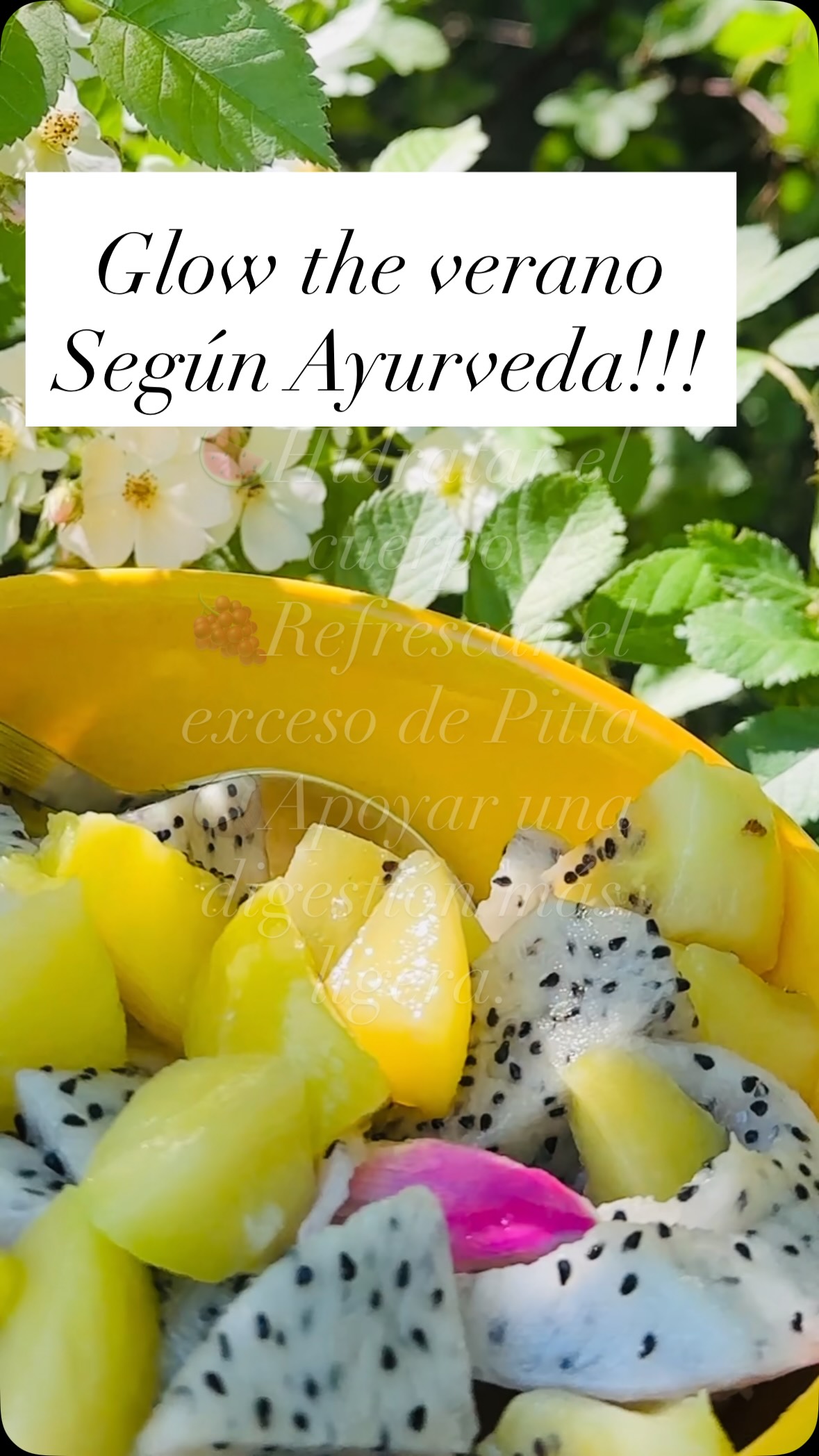 “Tu cuerpo pide frutas por una razón”
Si en verano se te antojan más frutas… Ayurveda dice que tu cuerpo podría estar intentando enfriarse naturalmente 🌞🍉.
Durante esta estación aumenta el calor interno.
Es por eso que las frutas de temporada ayudan a regular la temperatura y nos dan esa sensación de ligereza y una energía naturalmente refrescante que ayuda a equilibrar el exceso de calor del cuerpo y la mente.
Por eso en verano las frutas nos ayudan a sentirnos más livianas, 🥭
La digestión se siente menos pesada, 🍉,el cuerpo se inflama menos🪷Y la mente se siente más calmada. Disfruta las frutas de temporada y acuérdate que la belleza también se alimenta.
Cuál fruta te hace sentir más fresca en verano? 🍉#āyurveda #ayurvedalifestyle #latinasenusa #ayurveda #seasonaleating