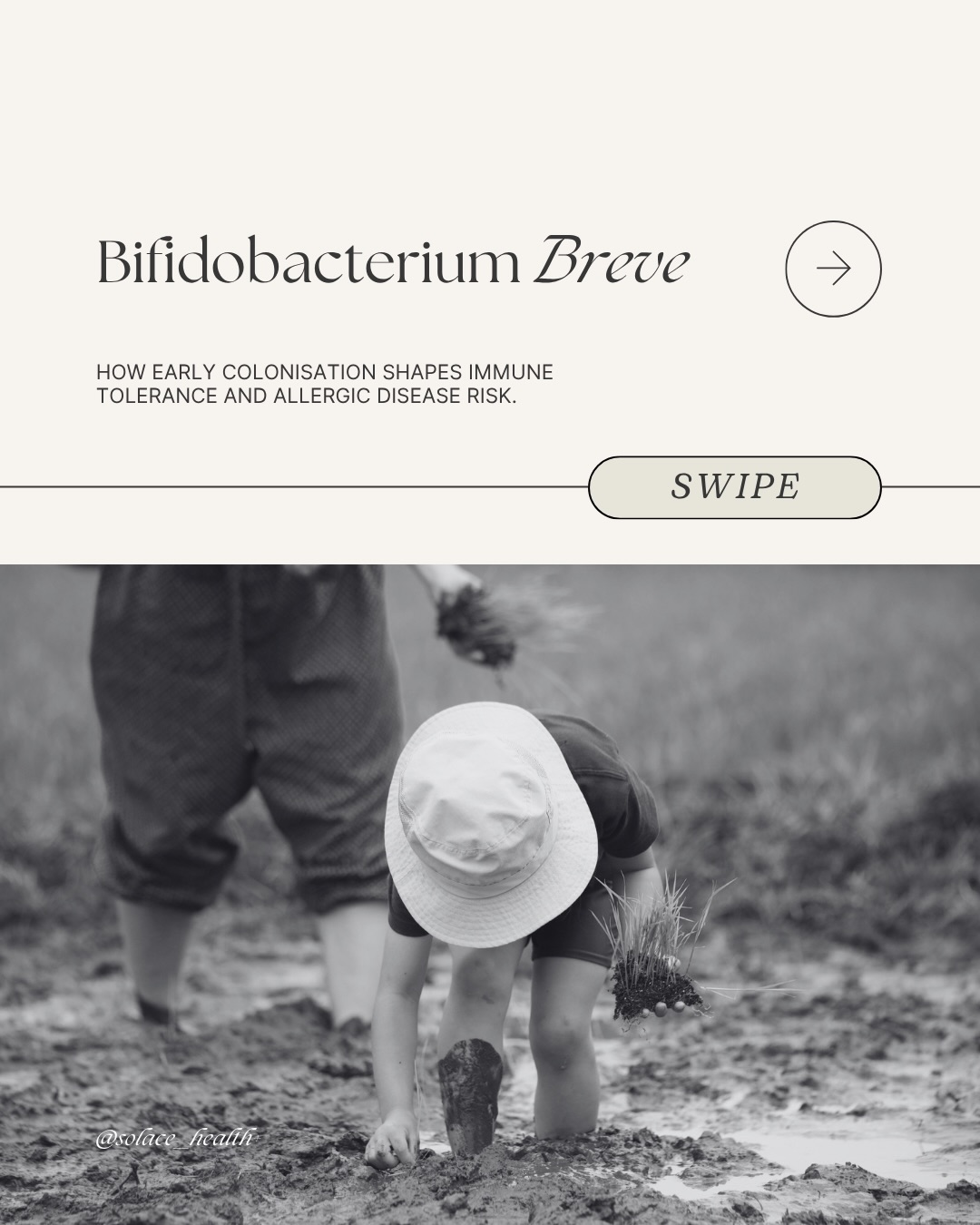 Most parents are familiar with probiotics in a general sense. Far fewer know that one specific bacterial strain, present in the gut from the earliest days of life, plays a central role in whether a child’s immune system develops the capacity to tolerate the world around it, or whether it learns to treat it as a threat.
In a healthy breastfed infant, Bifidobacterium breve is typically the dominant bacterial strain in the gut during the first months of life. It sits at the interface between the digestive tract and the immune system, producing immune-signalling compounds, sealing the gut lining, and actively training immune cells to distinguish what is safe from what is a genuine threat.
If your child has eczema, food allergies, recurrent illness, or a gut that has never quite settled, the microbiome is a logical place to start. Read the full article, link in bio. 🌿
#guthealth #childrenswellness #naturopath #adelaidenaturopath #childrensnaturopath