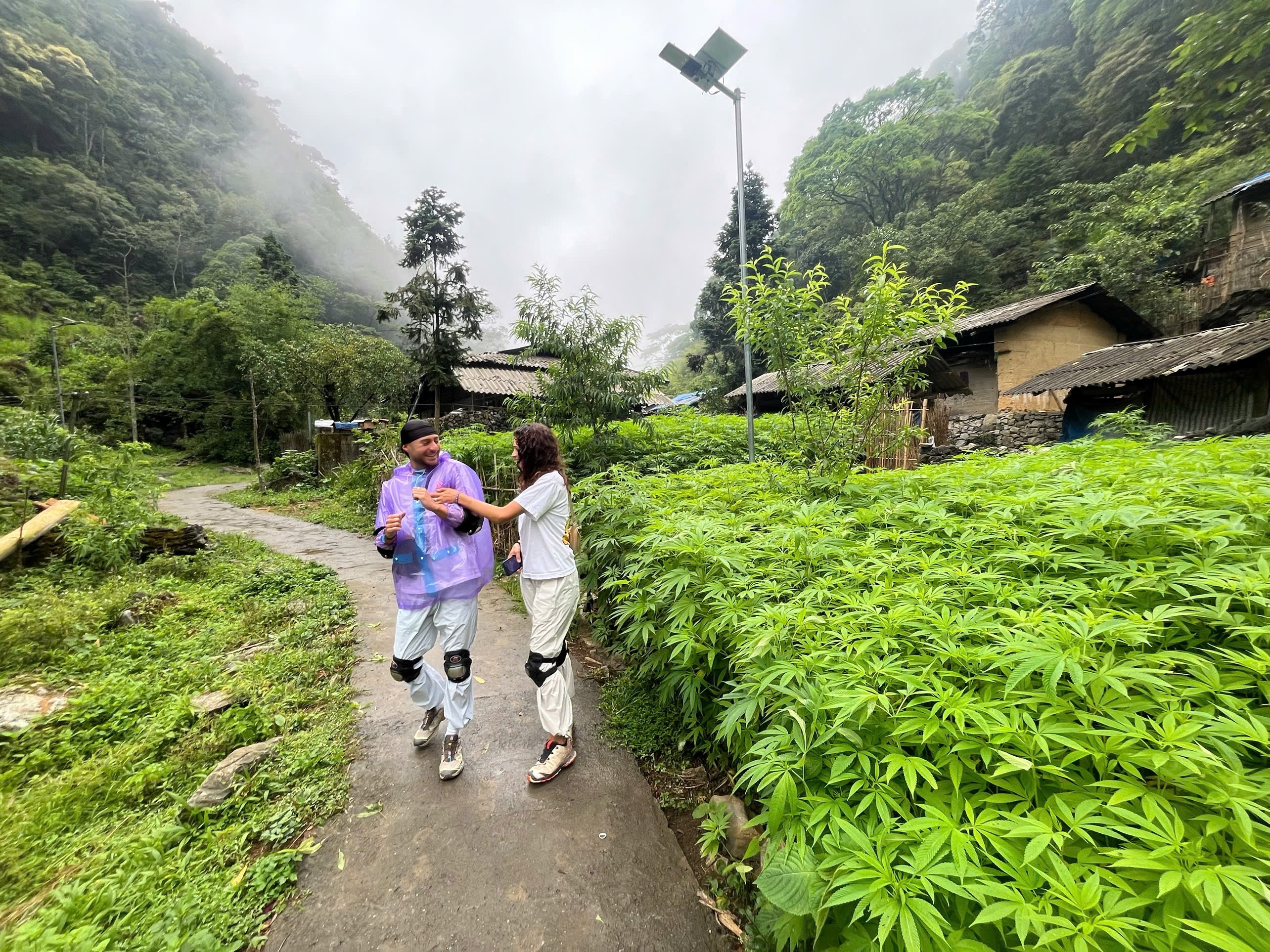 High up in the mountains, locals grow lush green hemp plants amid stunning natural scenery. The vibrant colors are breathtaking, and tour groups rarely reach these remote, untouched places.
Only with @borderlandstours #hagiangloop #hagiang #travelvietnam #explorevietnam #motorbiketrip
