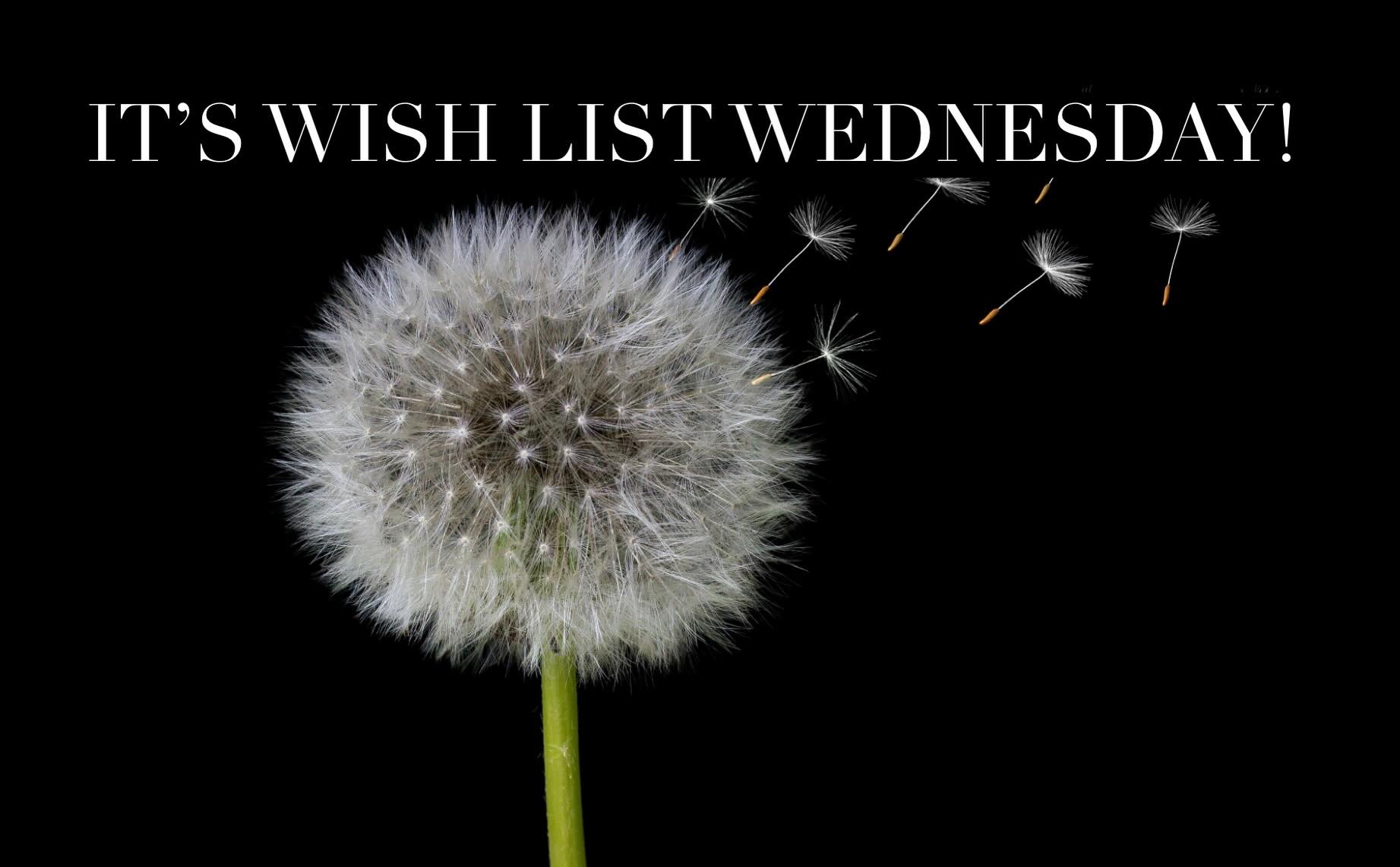 You can help make wishes come true today!
Lots of little items that help make a big difference for kids at Bridge.
Shop our Amazon wish list - link in profile or below.
https://a.co/bBSHZbR