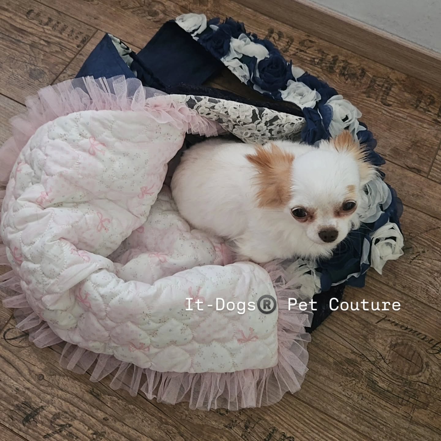 Being soft and comfortable for the skin thanks to the high quality fabrics you can also use our dog mat in our bags ❤️🇮🇹
Link in bio to shop🛍
#itdogs #dog #dogshop #petshop #italianproducts
Dog. Pet. Italia. Luxury. Shopping.