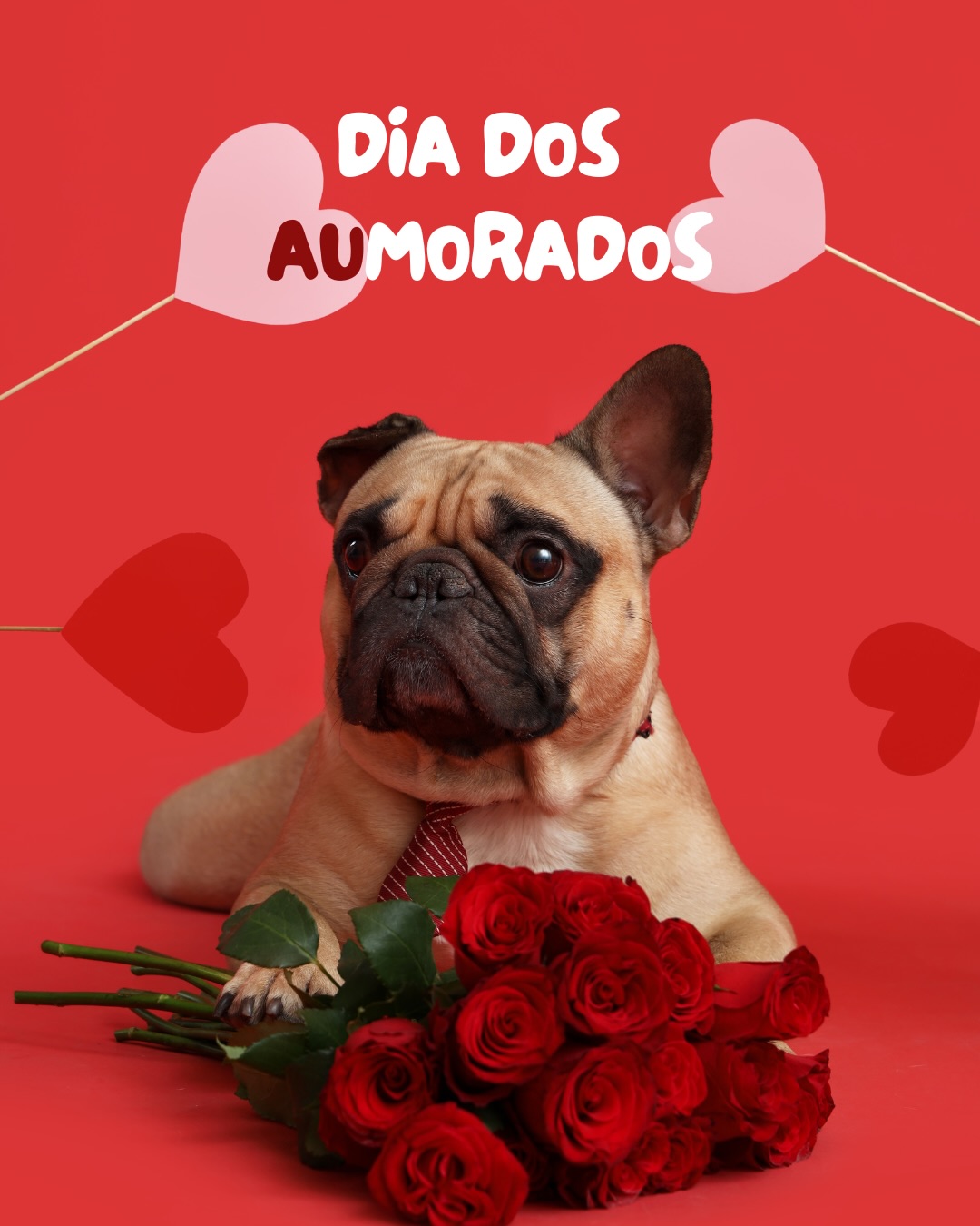 Tem quem comemore com flores…
…e tem quem comemore com companhia.
....e tem quem comemore com muitos lambeijos, rsrs.
Entre olhares, aproximações e jeitos únicos de estar perto…
…o amor também aparece no mundo dos pets.
Nos encontros, na curiosidade, na aproximação… cada espécie, do seu jeito, também constrói conexões.
Viva o amor! ❤️
#diadosnamoradospet #namoradospet #petplace #amordepet #namoradospeT