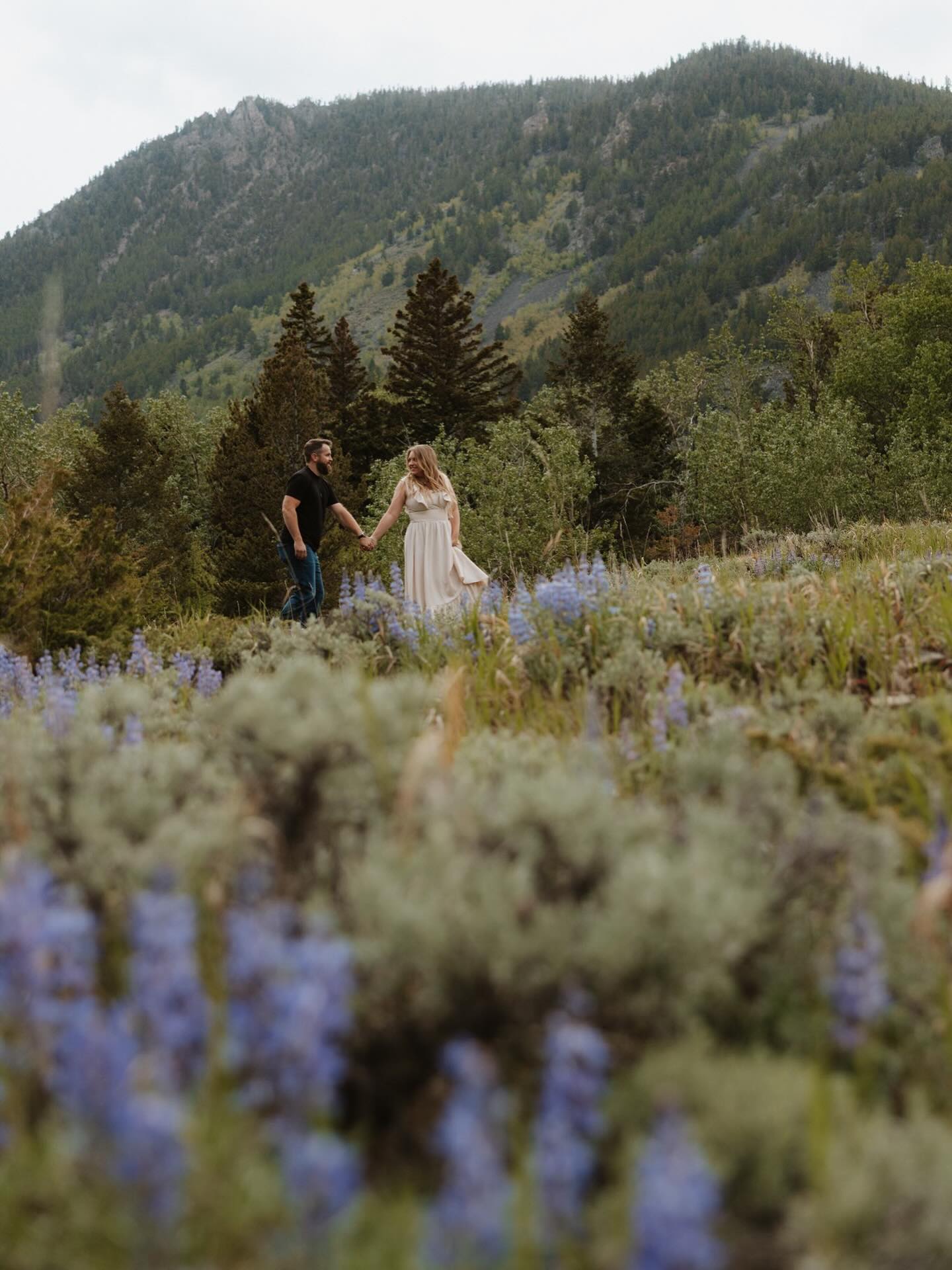 Early summer in Montana may be my favorite.