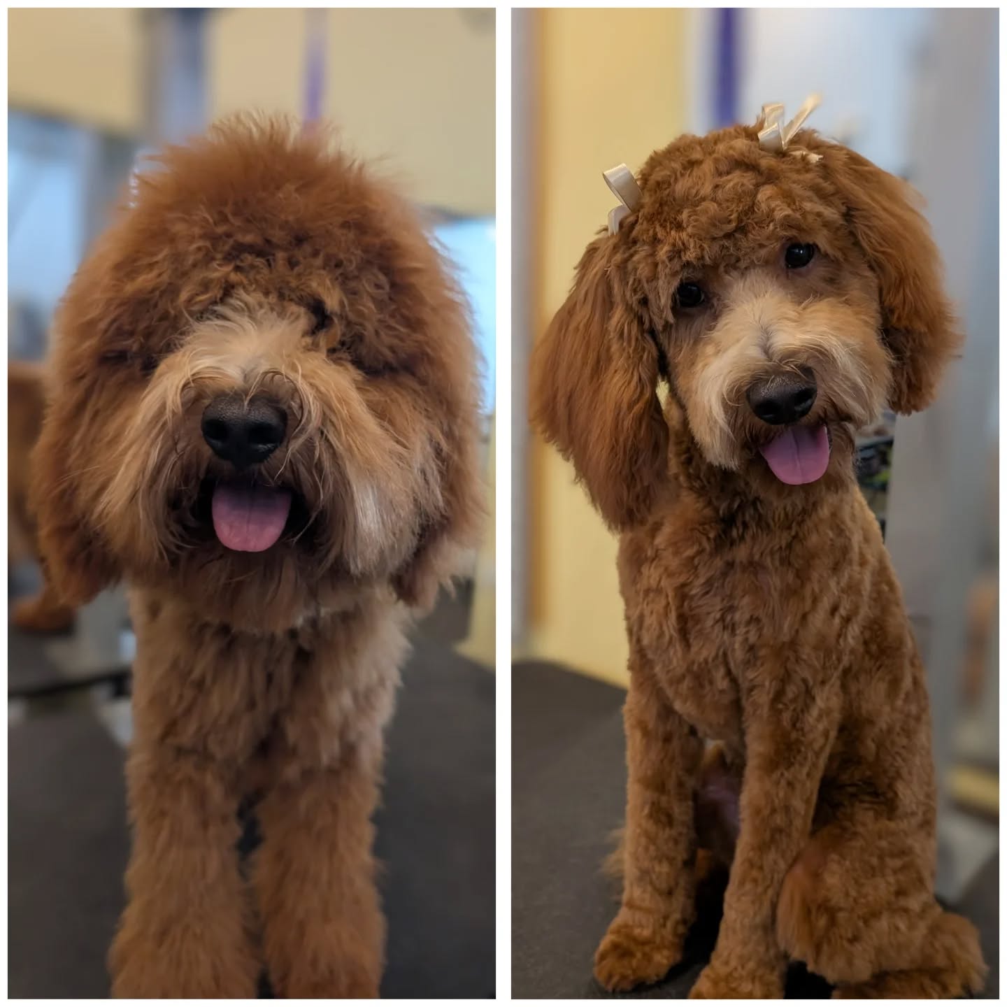 Big girl haircut for Millie