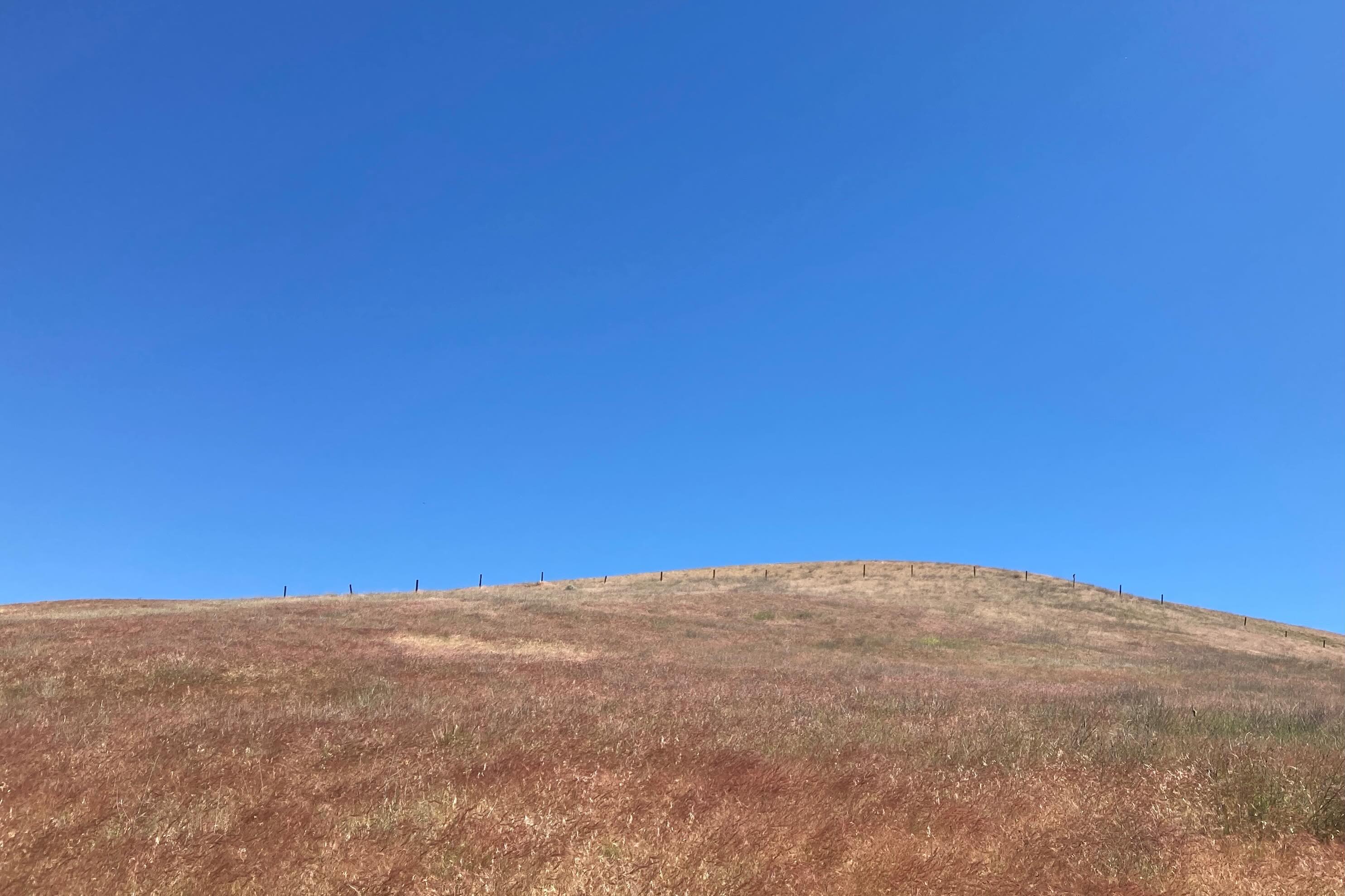 Sometimes alignment looks like open space.
A reminder to step outside, clear your mind, and make room for what matters most.
App update coming soon.
@vizact.app
#Manifestation #VisionBoard #Alignment #Mindfulness #VizActLife