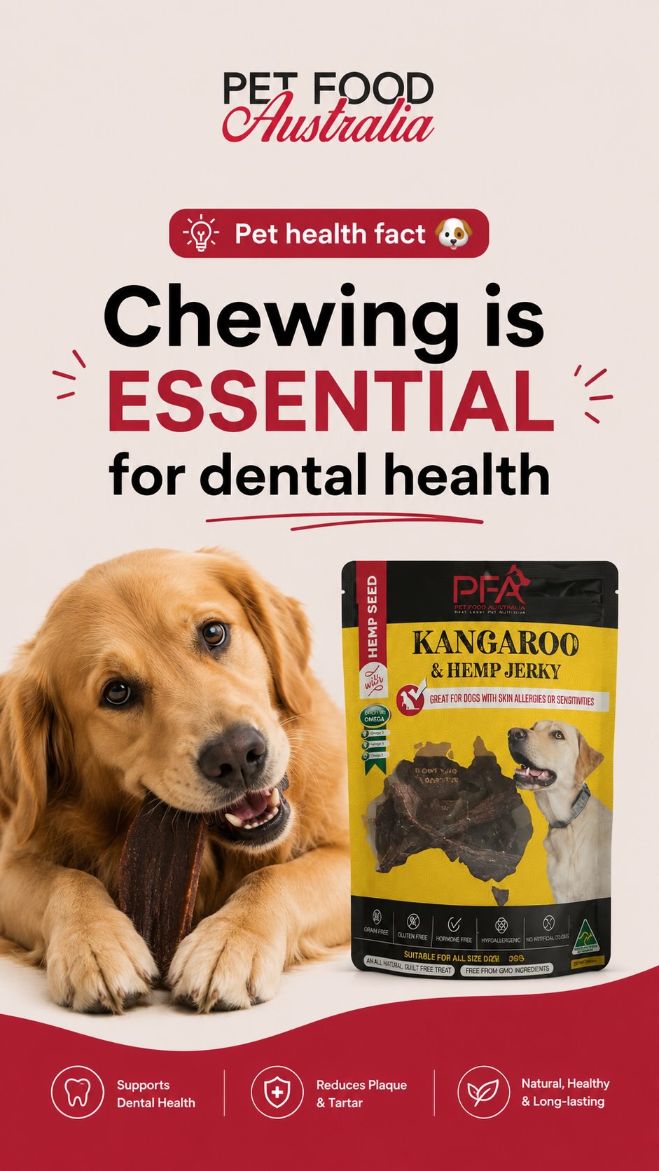 Pet health fact 🐶
Chewing is ESSENTIAL for dental health - Our Kangaroo & Hemp Jerky is a delicious, natural treat that helps reduce plaque buildup and strengthens your pet’s teeth. Made with premium Australian meat and owned by a small Australian business, it also contains hemp seed oil, which supports overall health and provides a rich source of omega fatty acids. This treat naturally cleans your pet’s teeth while satisfying their chewing instincts. 🐾
#PetFood #DogFood #CatFood