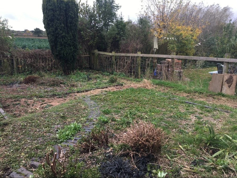 4 years ago after getting so fed up of the never ending weeds and bamboo grasses spreading - it was time to take drastic action. This garden is south facing so everything in this side of the house needed to be resilient to drought and winds (it’s very exposed) - almost like a coastal garden without the salt! So - lavenders, grasses, Mediterranean herbs (rosemary, thyme, oregano), cotton lavender, Russian sage, and bamboo in pots plus pots of geraniums and climbers. It’s been a work in progress but finally looks established! We are so happy with this space - and hope this view stays for many years to come.
#drygarden #aridgarden #southfacing #climatechange