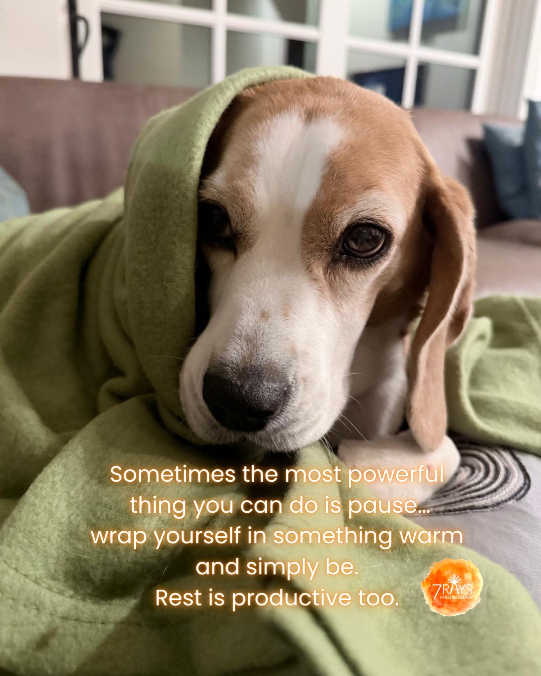 Friday Reminder from Lilo
Sometimes the most powerful thing you can do
is pauseā¦
wrap yourself in something warm
and simply be.
Happy Friday from Hemla and Lilo at 7 Rays.
šø Photo by Hemla
#reawakenthepower
#colortherapy #familyconstellations #CrystalHealing #EnergyWork #Intuition #Productivity #SpiritualGrowth
#ColorTherapy #SelfExpression #ChakraHealing #7rays #lilo