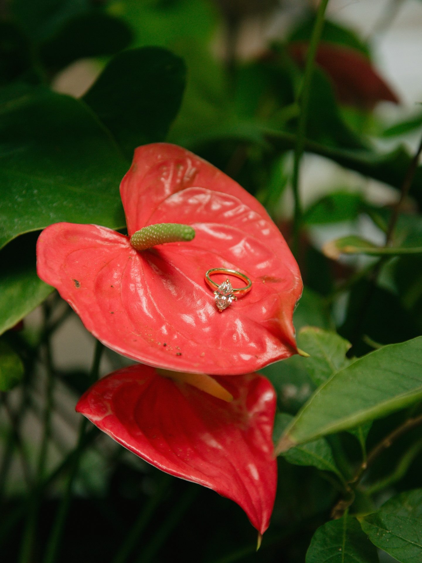 You see a flower, I see the perfect place for a stunning engagement ring 💍