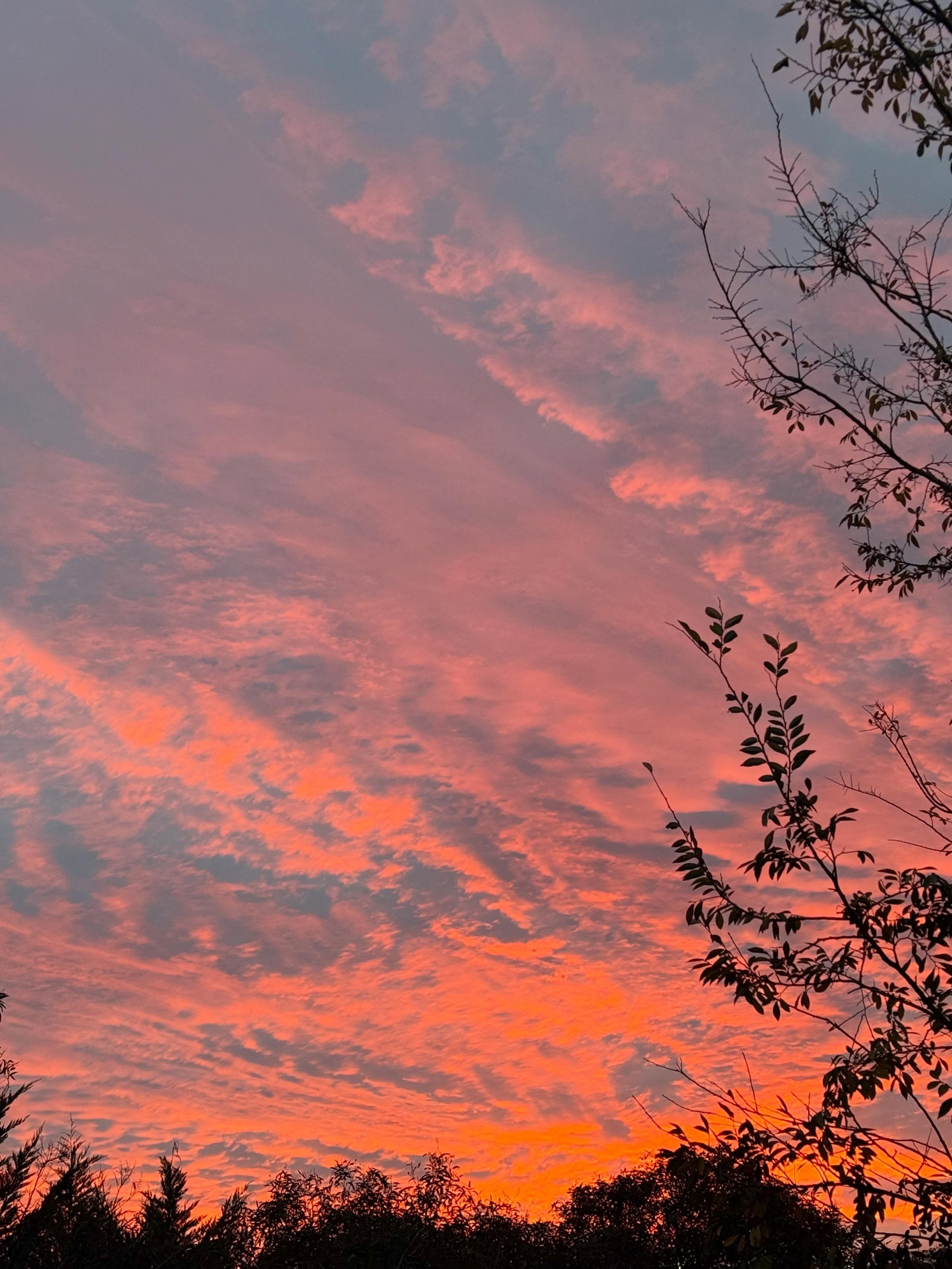 No words for this mornings sky! 🥰