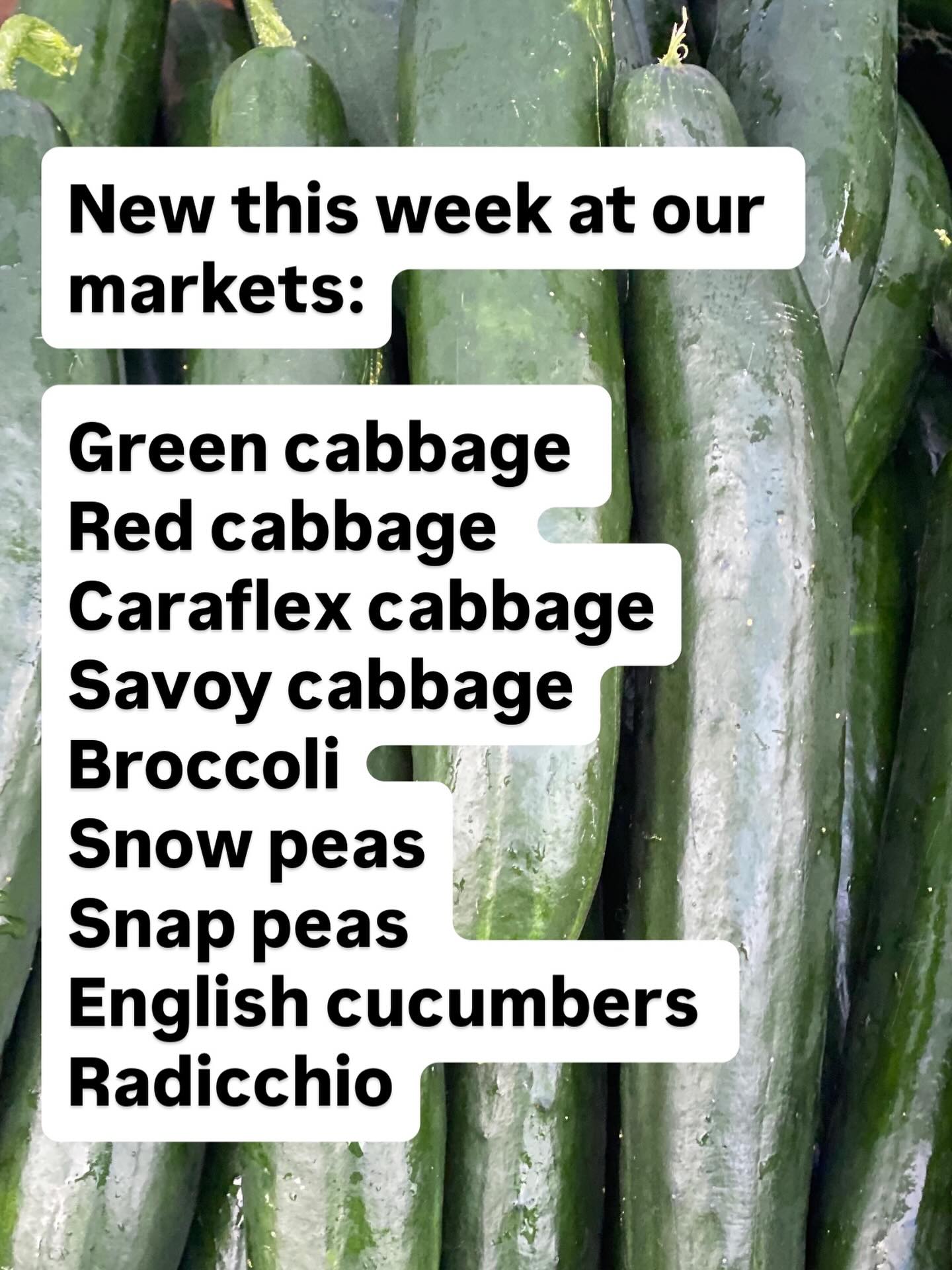New this week
Also, it’s the last chance for garlic scapes before June 2027 #sliceofheavenfarm