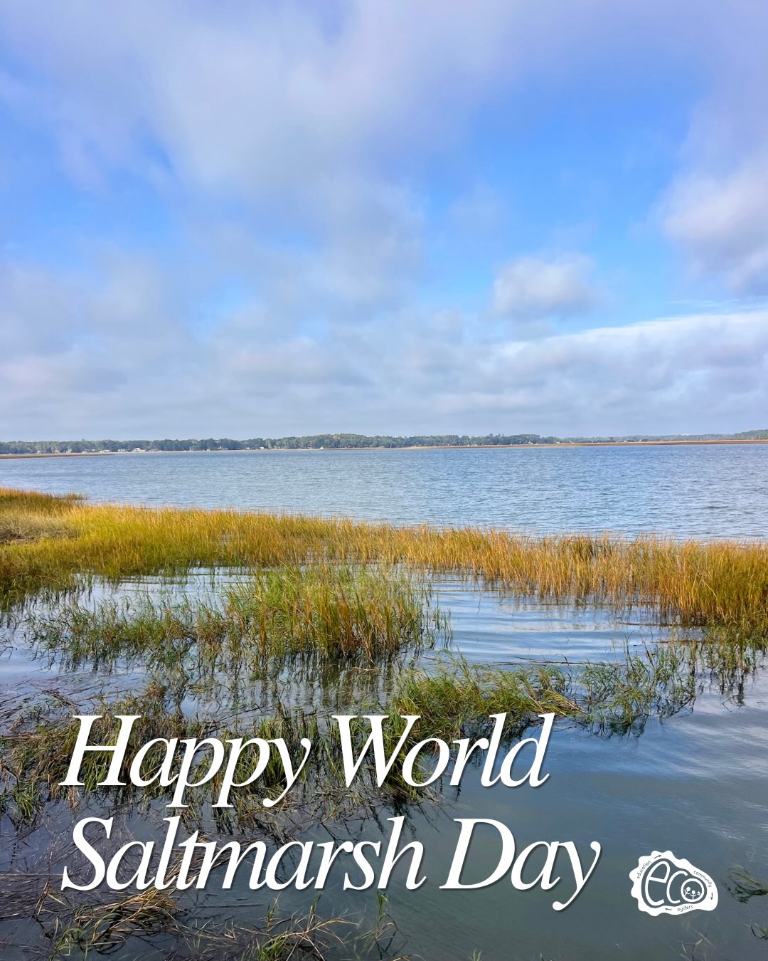 Happy World Salt Marsh Day! 🌊 🌾
Did you know? Georgia has more salt marsh acreage relative to its coastline than any other state on the East Coast?
These incredible ecosystems provide habitat for wildlife, improve water quality, and help protect coastal communities. But they don’t do it alone. Oysters are a vital part of the story by filtering water, creating habitat, and helping build resilient shorelines.
The story of Georgia’s coast is written in its salt marshes. That’s why ECO is dedicated to connecting communities through oyster restoration, education, and stewardship opportunities that strengthen and protect our coast.
This World Salt Marsh Day, we’re celebrating the connection between oysters, marshes, and the people who them home. Together, we can help ensure Georgia’s coast remains healthy, resilient, and thriving for generations to come. 💚