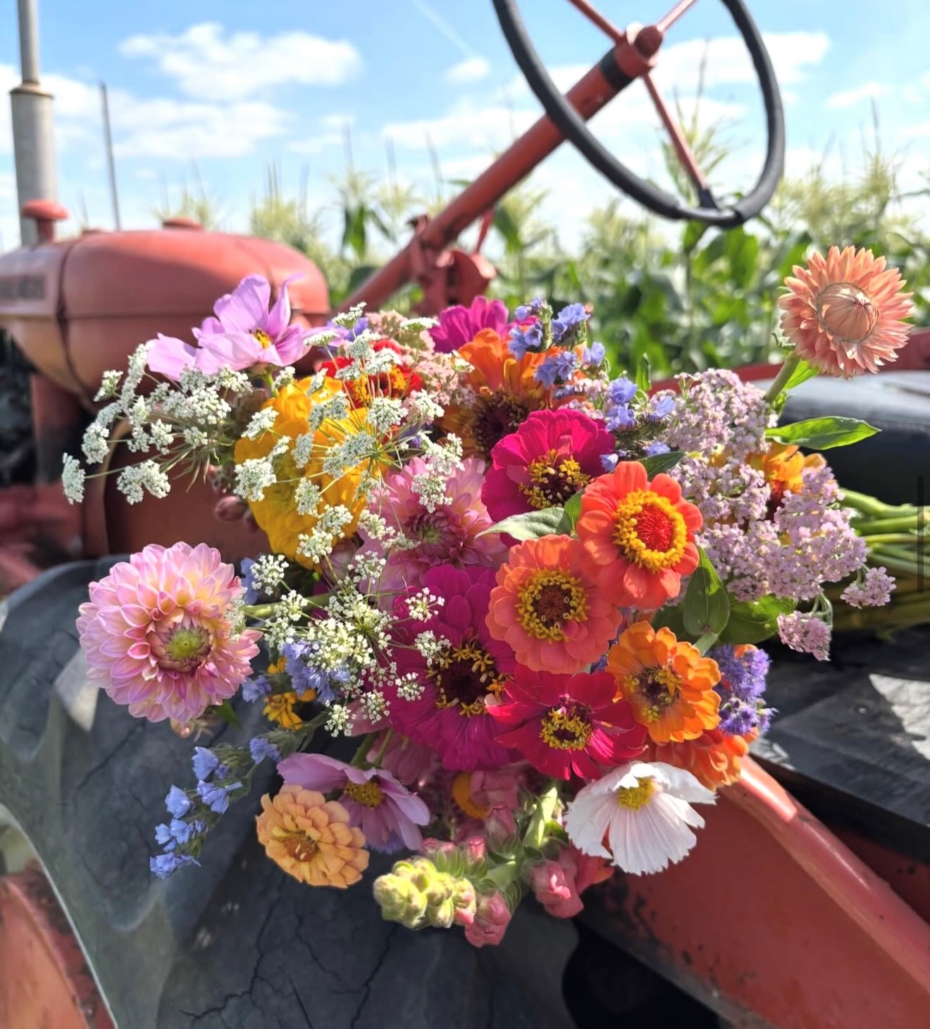 🌼 FRESH FLOWERS? YES PLEASE 💐
@riversgardenco has you covered! Whether you’re celebrating a special occasion, surprising your bestie, thanking a host, or simply treating yourself, these beautiful blooms are guaranteed to bring a smile. 🌷✨
✨ MARKET DETAILS ✨
📅 Thursday, July 2, 2026
⏰ 3 PM – 9 PM
📍 St. Norbert Farmers’ Market
🎟️ Tickets ON SALE NOW on our website, or save the tax and purchase with cash at the door.
🍉 We’re bringing all the summer vibes with:
🍔 Delicious food trucks
🛍️ 80+ talented makers
🏰 Bouncy castle
💃🏼 Live music:
-First set: 5:15 pm - 6:00 pm
-Second set: 6:30 pm - 7:15 pm
-Third set: 7:45 pm - 8:30 pm
🎨 Face painting
📸 Selfie wall by @inflatabledecorations
🏀 Sea Bears activation + WIN FREE PRIZES
🐶 Fur babies welcome
🛒 Strollers + wagons welcome
👧 Kids 12 & under are FREE
🚗 FREE PARKING