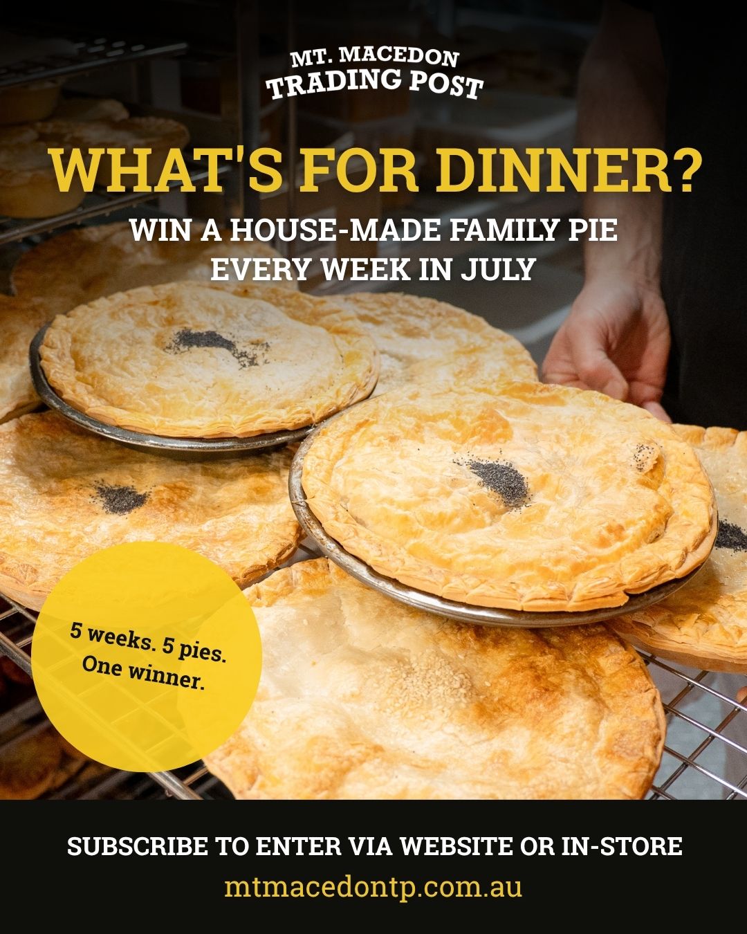 One subscriber. Five weeks of house-made family pies straight from the Trading Post kitchen.
If you're not subscribed as a member of the Trading Post Family, head to our website or sign up in-store, a winner will be drawn at the start of July.
Please note that the winner must be able to pick up their pies in-store.
#mountmacedontp #macedonrangescafe #subscribetowin #housemade