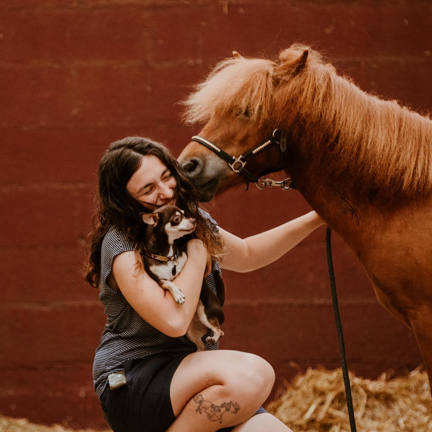 La vérité ?
Personne ne regrette d’avoir fait une séance photo.
Par contre, beaucoup regrettent de ne pas en avoir fait.
Ici avec Kinuts (oui oui, une grande peluche!) et Lucille 🥰
#photographerouen #photoshoot #photographierouen #photographenormandie