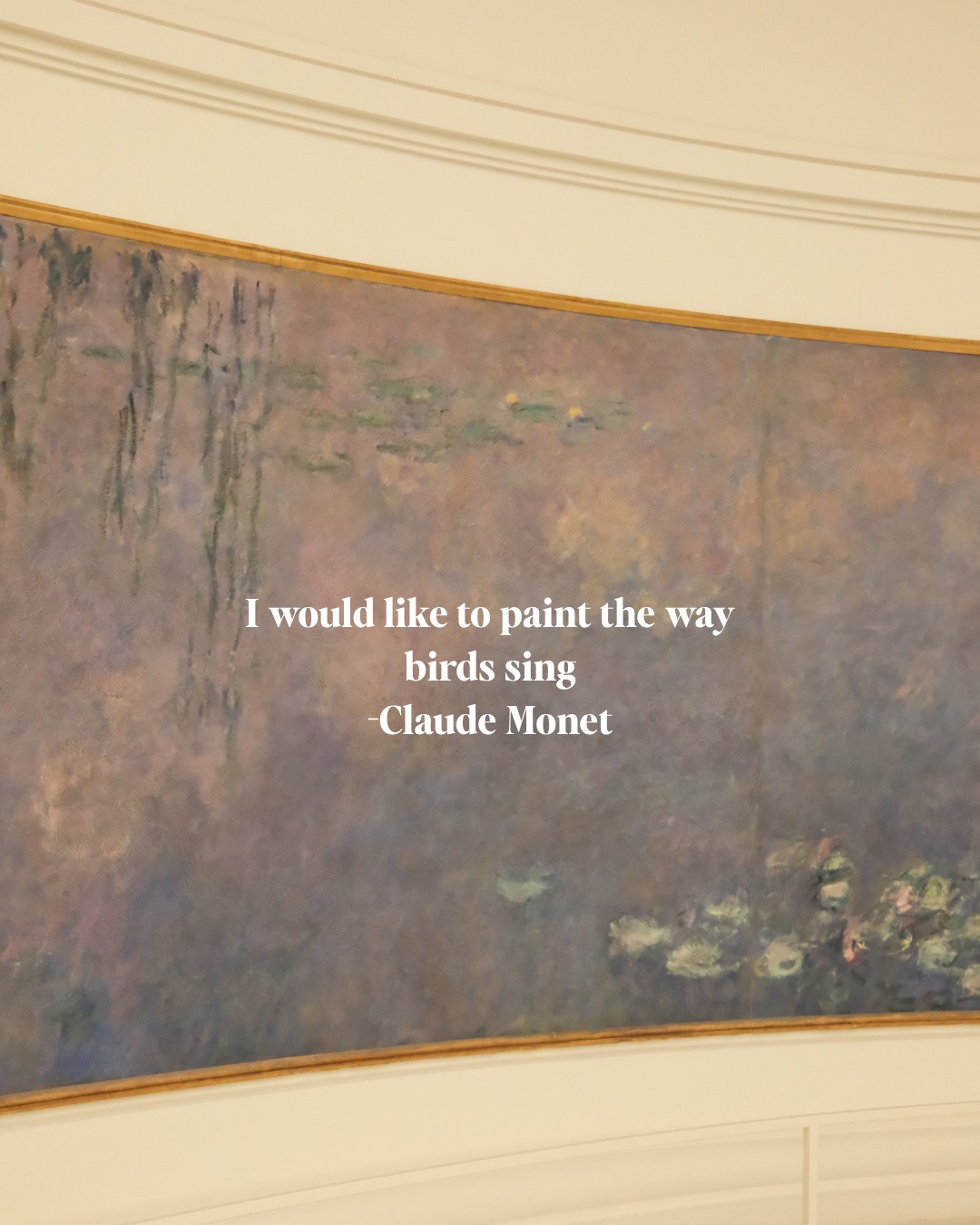 A morning in the L'Orangerie #fujifilmx100vi #paris #monet #fujifilmparis