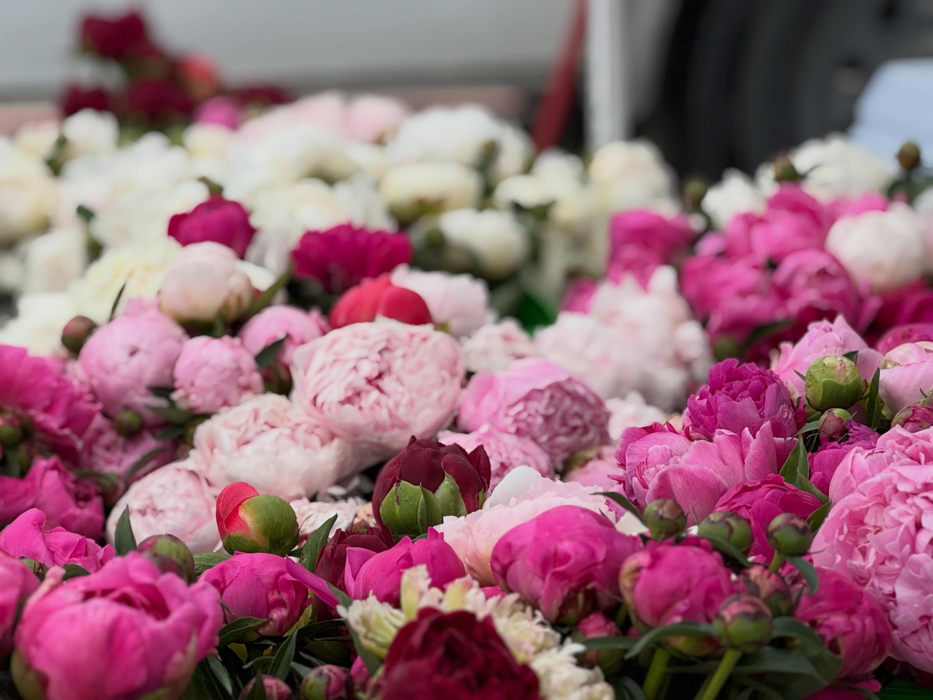 Take a stroll with us through the farmers market this Saturday from 7:30-12pm! 🛒🌷🥐🍳☕️
We’ve got lots going on this weekend!
Our Community Friends will be by with an event from 8-12pm including things for kids, for mom, and for dad!
Olmsted Public Health Nitrate testing- bring 1 cup of well water in a clean glass jar- results in minutes!
Shop from local farmers and producers, have a little treat, and enjoy the weather! You might even find something new this week! Seasons change and so do our vendors!
Want a tour? Message me to schedule a time, we’ll show you around!
See you Saturday pals!
#rochfarmmkt #mnlife #farmersmarkets #shoplocal