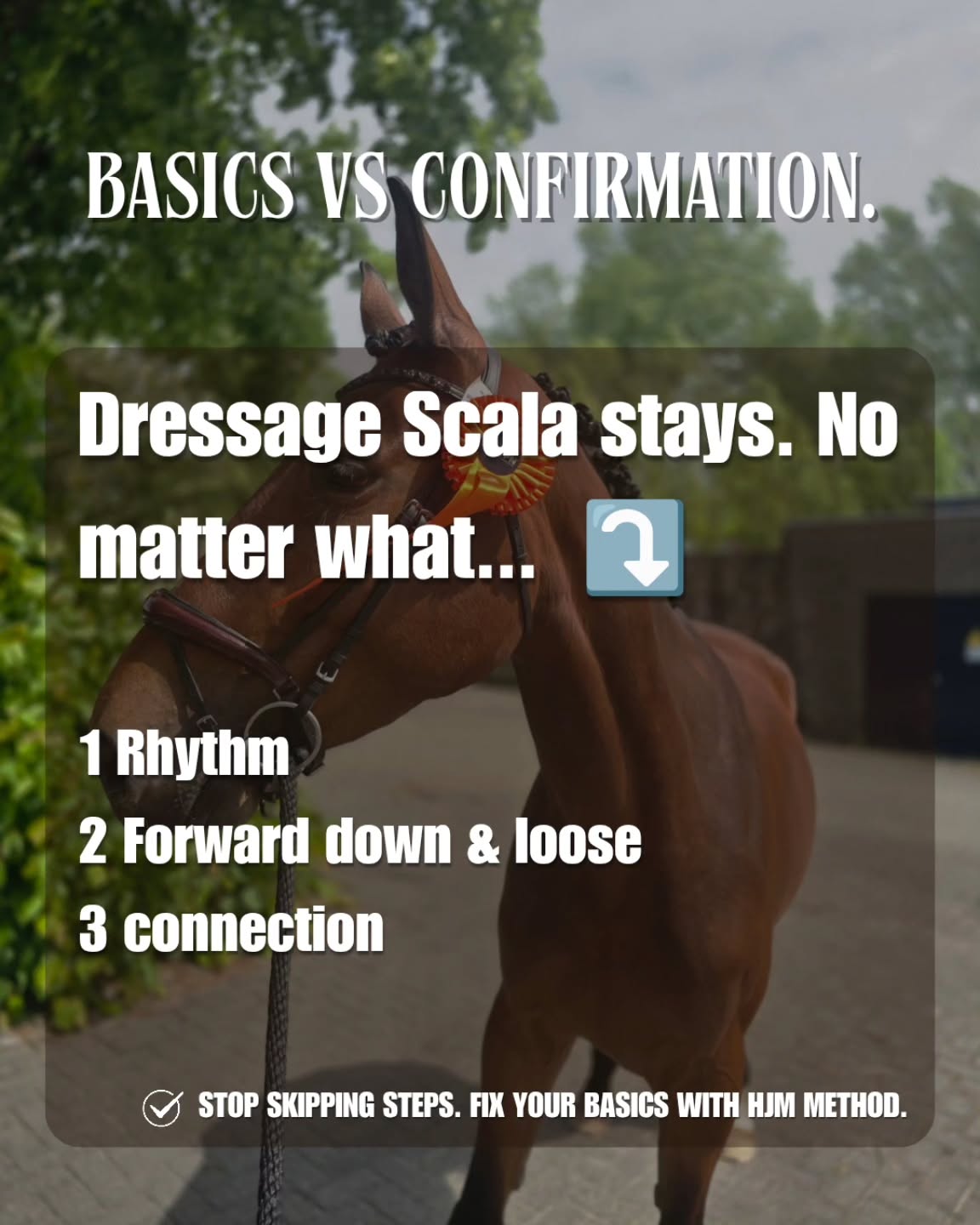 READ CAPTION ⤵️
“Every horse has different conformation.”
True.
But that is not an excuse to skip correct body use.
And “just let the horse jump” is not horsemanship either.
Most people understand step one: rhythm.
But step two and three are constantly missed:
2. Forward, down and loose
3. Connection
Forward, down and loose is not forcing the head low. It means the horse can lengthen through the topline, release the back and use the whole body instead of jumping from stiffness.
Connection is not holding the horse in a frame. It means the energy travels from the hind legs, through the back, into a steady and receiving hand.
Skip these steps and the problem may not appear immediately.
The horse may still jump.
But later you start seeing:
– stiffness
– flat or hollow jumping
– limited bascule
– weak front-end technique
– loss of scope
– rushing or hesitation
– a horse that is physically disconnected from the rider
People then call it a scope problem, a conformation problem or simply “the horse’s way of jumping.”
Often it is a foundation problem.
Jumping does not replace the Dressage Scala.
It confirms whether it was truly there.