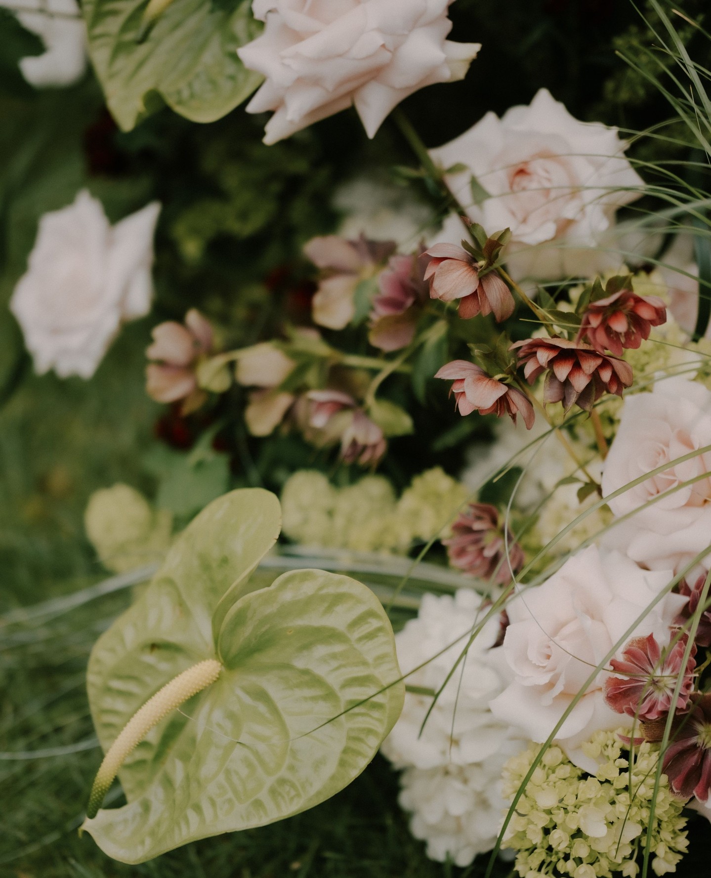 I could photograph floral arraignments all day! These beauts are by Freckled Fleurs
#SouthernOregonphotographer #MedfordOregonPhotographer #OregonPhotographer #BrandingPhotographer #Branding #OregonProfessionalPhotography #ProfessionalPhotographer#Photographer #PacificNorthwest #Marketing #pnw #rebrand
#southernoregon #medfordphotographer #AshlandOregonPhotographer #grantspassphotographer #grantspass #ashlandoregon #medfordoregonbusinesses #businessphotography #productphotography #rebrandphotosmedford #centralpoint #roguevalleybusinesses #oregonphotographer