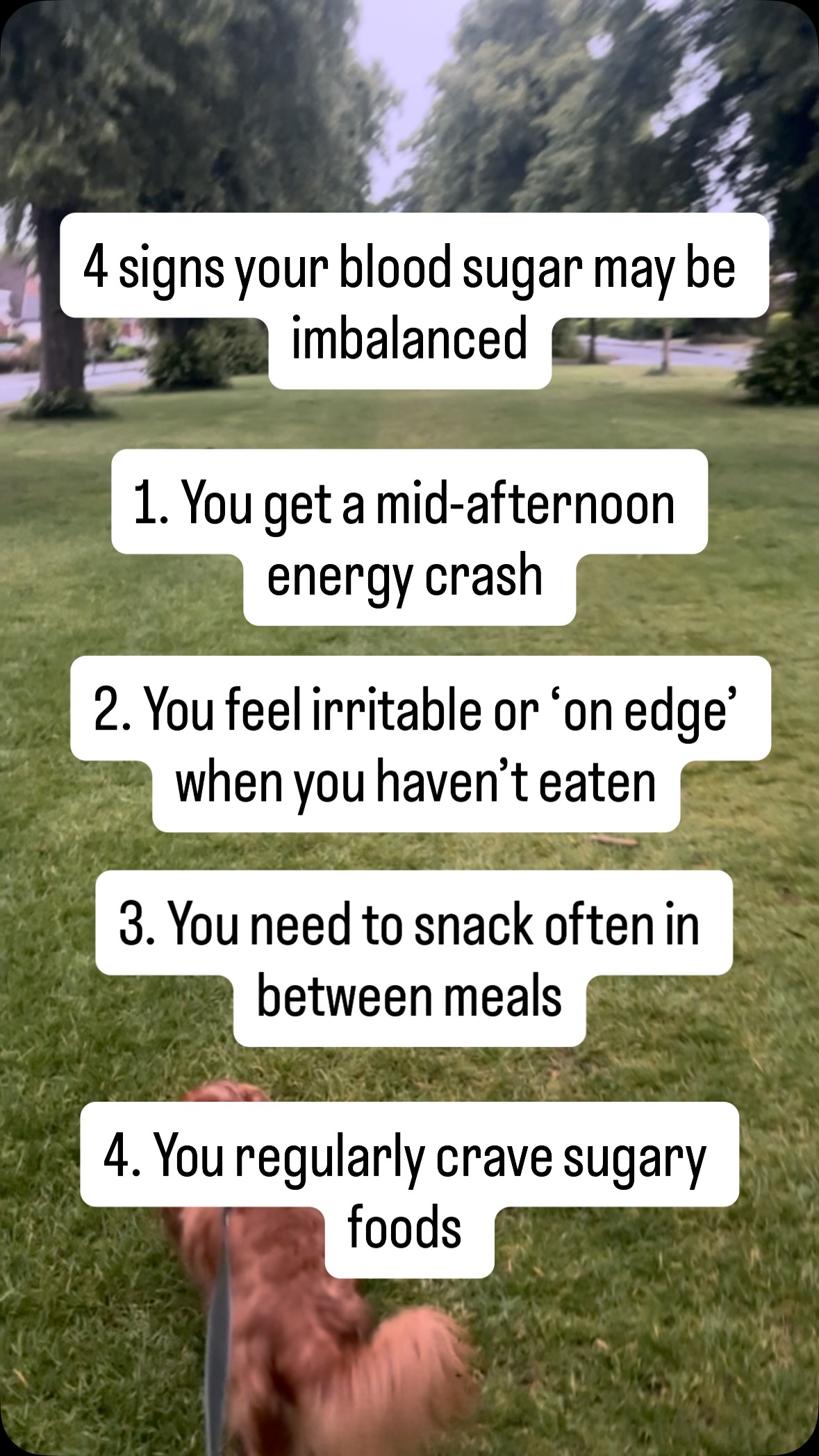 As it’s Diabetes Awareness Week, it’s a great opportunity to check in with our everyday habits. Many of us think blood sugar issues only matter if we have diabetes, but blood sugar balance can affect how we feel every day.
A mid-afternoon energy slump, feeling irritable when we haven’t eaten, needing frequent snacks, or craving sugary foods may all be signs that our blood sugar isn’t as balanced as it could be.
The good news? Small, consistent changes can make a real difference. Supporting blood sugar balance may help promote steadier energy, fewer cravings and a more balanced mood. It can also support long-term metabolic health and help reduce the risk of developing type 2 diabetes.
Save this post if it resonates and check back here next for simple tips on how to support blood sugar balance.
#DiabetesAwarenessWeek #BloodSugarBalance #NutritionalTherapy