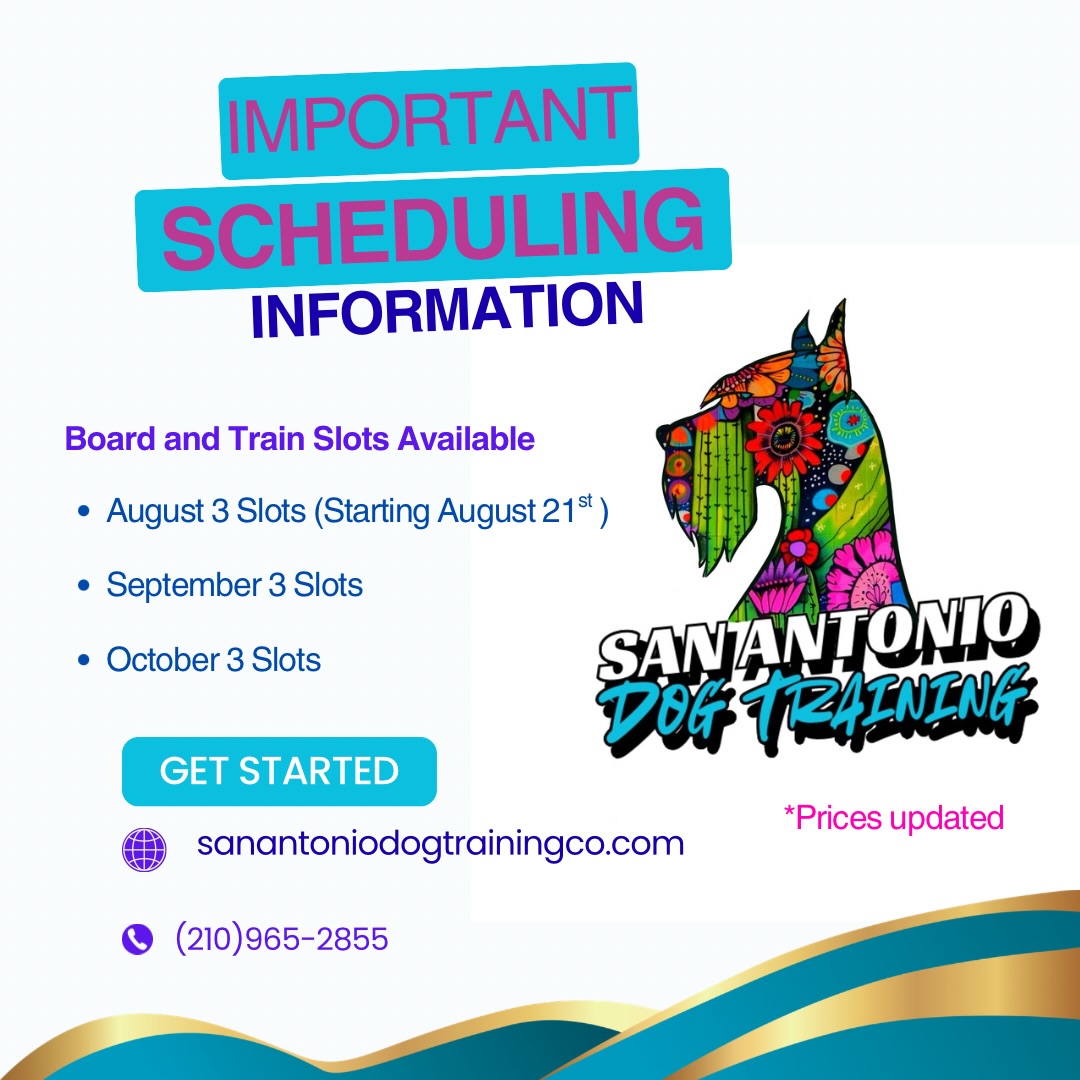 July is officially booked and I have the end of August available! I am also opening up September and October as well! IF you know that you will be traveling in December let me know as soon as you have dates as I have already gotten calls for that time frame and space will be limited!!! Thank you all for allowing me to work with your family and I’m excited to continue on this year! You all have kept me so busy that I’m having to turn people away due to not having space so once again thank you for making this possible!
#sanantoniodogtrainer #boardandtrain #dogtra #balancedtraining #texas
