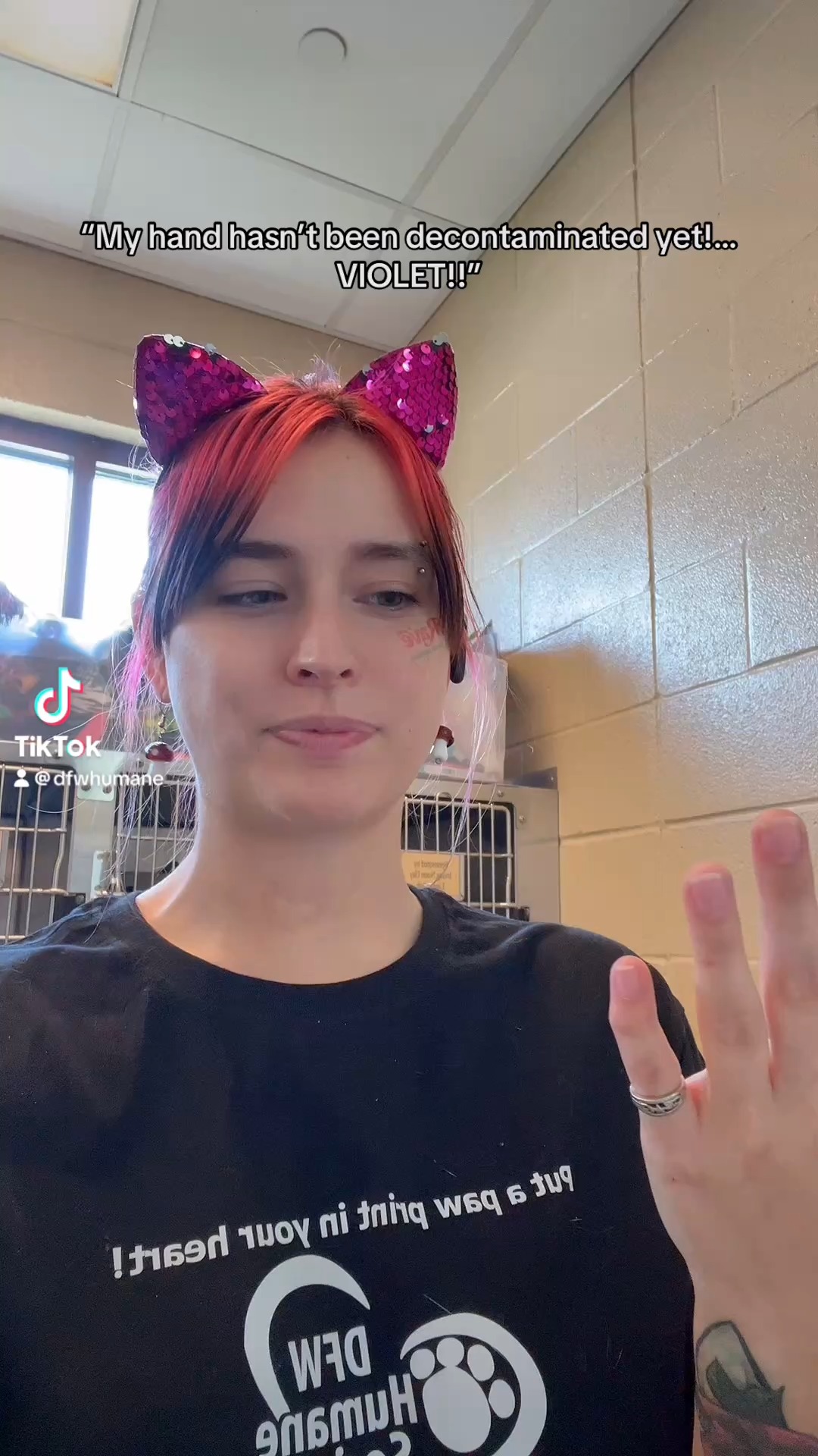 Violet can now add "Purr-fessional Hand Disinfector" to her resume 😹 If that's not an adoptable skill, I don't know what is!
This sweet girl is just waiting for a forever home. Swing by our shelter and see if she's the one for you!
📧 Interested in adopting? Email: adopt@dfwhumane.com
📍 4140 Valley View Lane, Irving, TX 75038
🕐 Hours: Tues–Fri 11am–6pm | Sat 10am–5pm