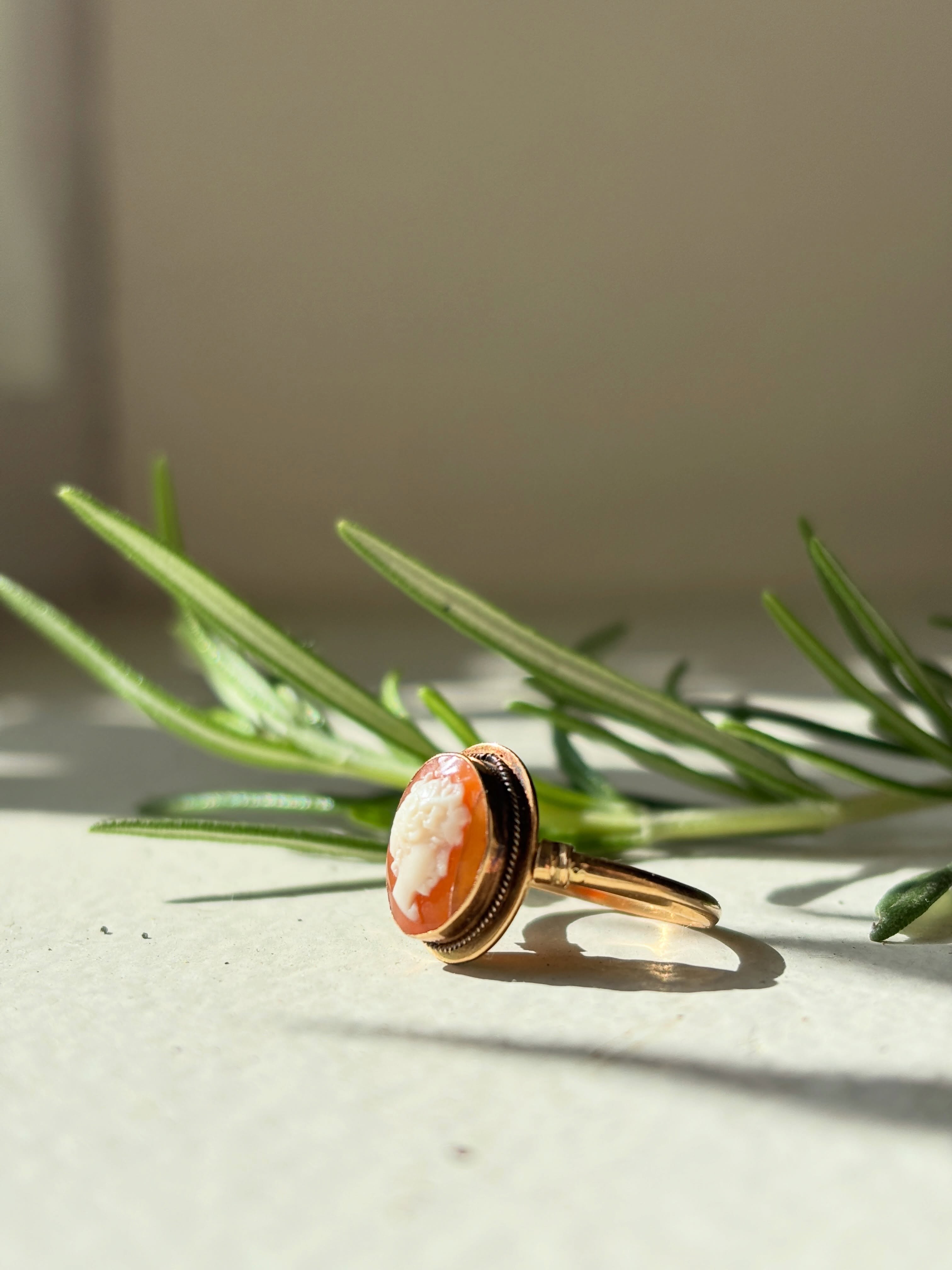 She has outlived fashions, eras, and empires.
A beautifully preserved Victorian cameo ring, carved from nature and set in 15ct gold. A portrait with a story still to tell.
Available on the Terrou.com.
.
.
#victorianjewellery #cameoring #antiquejewellery #shellcameo #heirloomjewellery