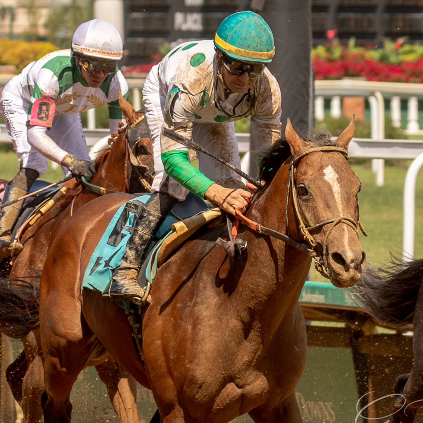 An eventful day for @laneriecorey and Team Romans! A retirement announcement in the morning and then an awesome rally aboard Tripp's Promise from 7th to overtake the leader for the win in race 8 today! Congratulations to owner Bob Baron.