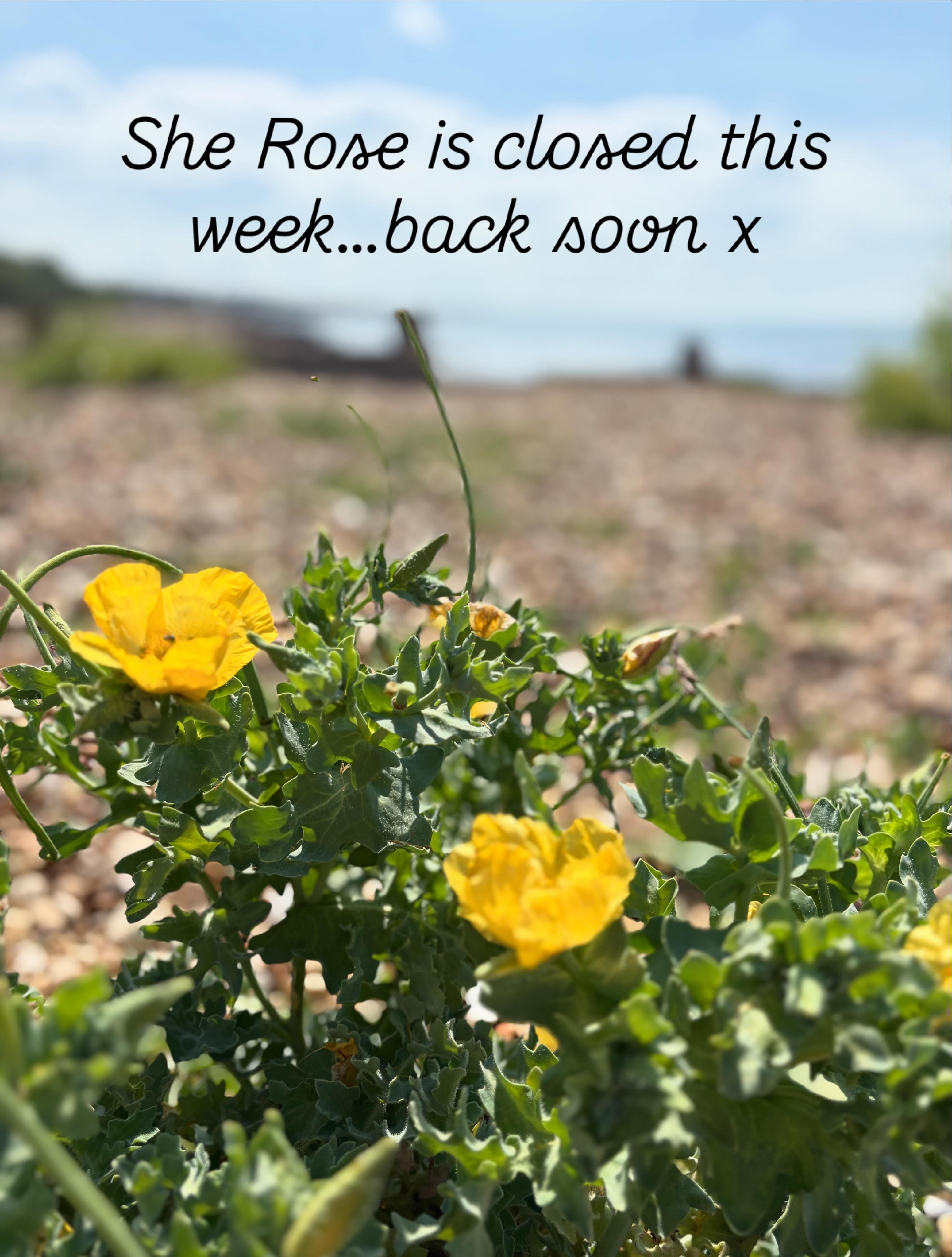 I’m taking some time out …I will keep you posted xxx