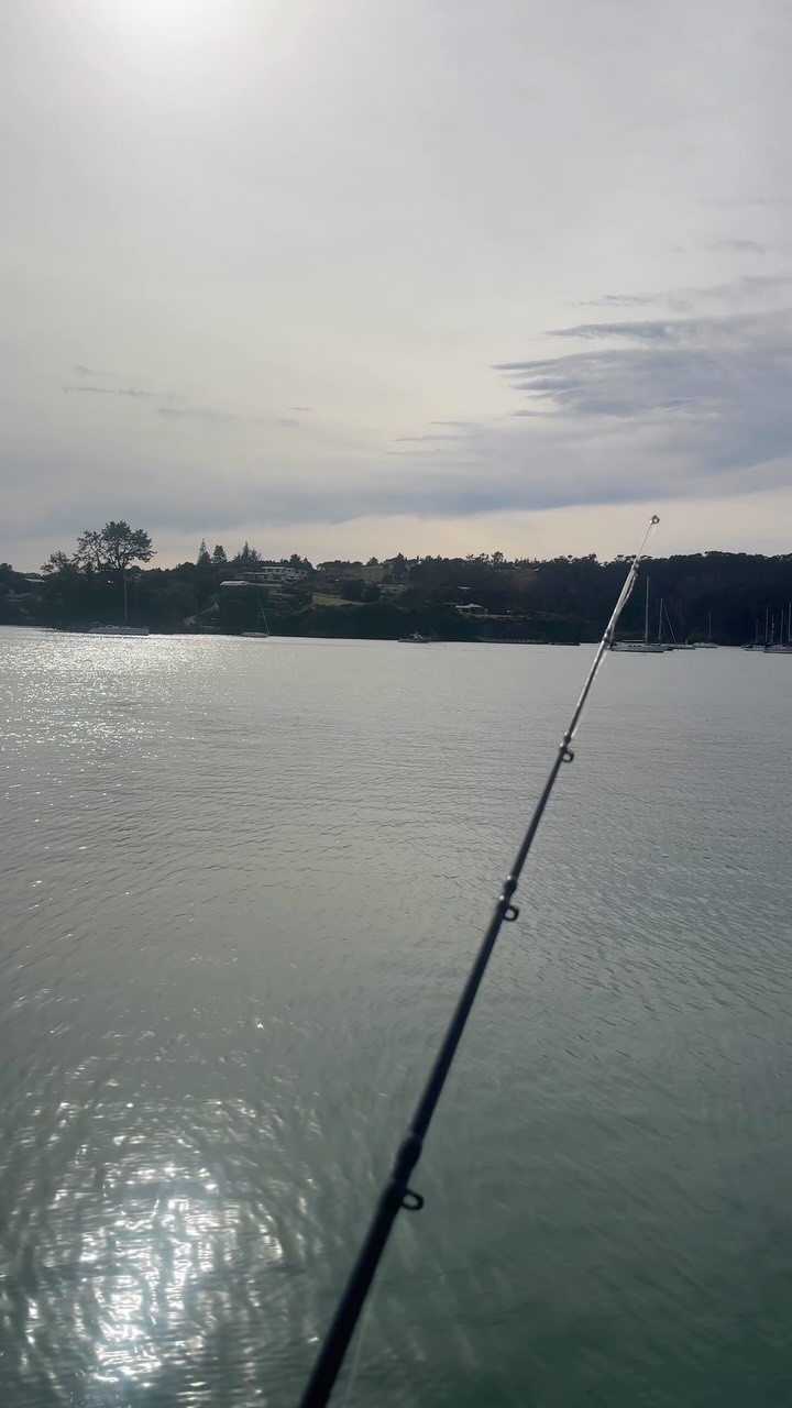A spot of wharf fishing was on the cards today #bayofislandsnz #totalyachtcare #opua #opuawharf