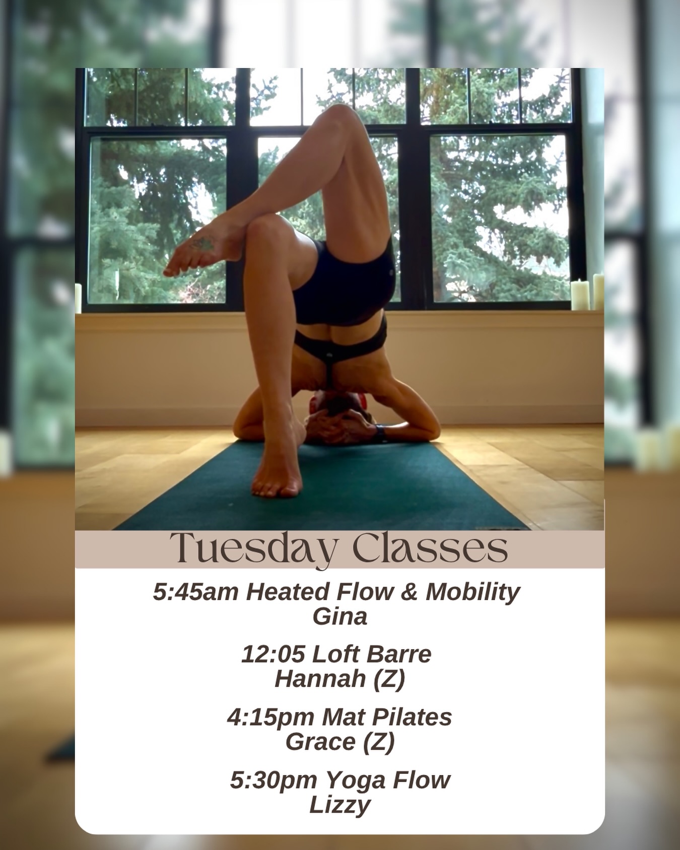 🌱Tuesday Classes🌱
5:45am Heated Flow & Mobility with Gina
12:05pm Loft Barre with Hannah (Z)
4:15pm Mat Pilates with Grace (Z)
5:30pm Yoga Flow with Lizzy
Classes with a (Z) also available through Zoom.