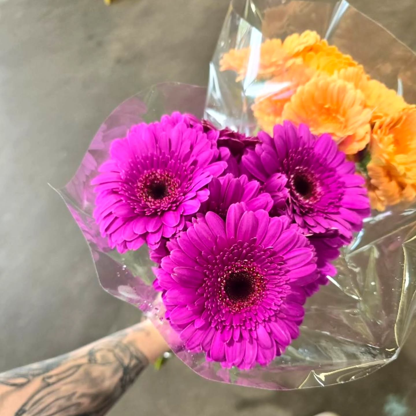 Gosh, these vibrant gerberas are stunning ๐