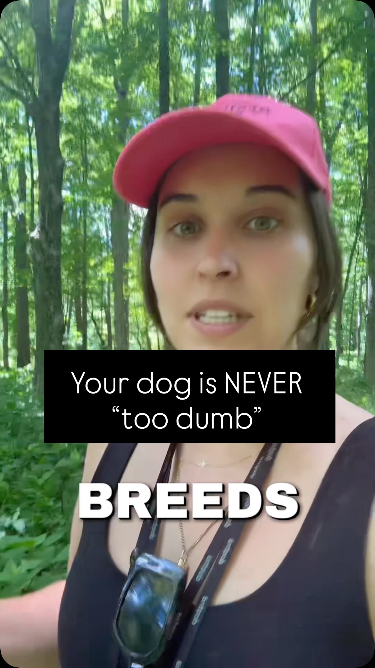 I truly believe every dog is capable of learning at LEAST the basics (sit, down, place, come, heel, crate)
Now, whether or not every owner has the patience and skill set to teach their dog, the basics is still yet to be determined for me 😂
I asked chat to rank some of the most popular dog breeds in order and here’s what it gave me:
Border Collie
Poodle
German Shepherd
Golden Retriever
Doberman Pinscher
Shetland Sheepdog
Labrador Retriever
Papillon
Rottweiler
Australian Shepherd
Belgian Malinois
Siberian Husky
Beagle
Dachshund
Chow Chow
Basenji
Afghan Hound
Where does your dog fall? Let me know in the comments!
#dog #dogtraining